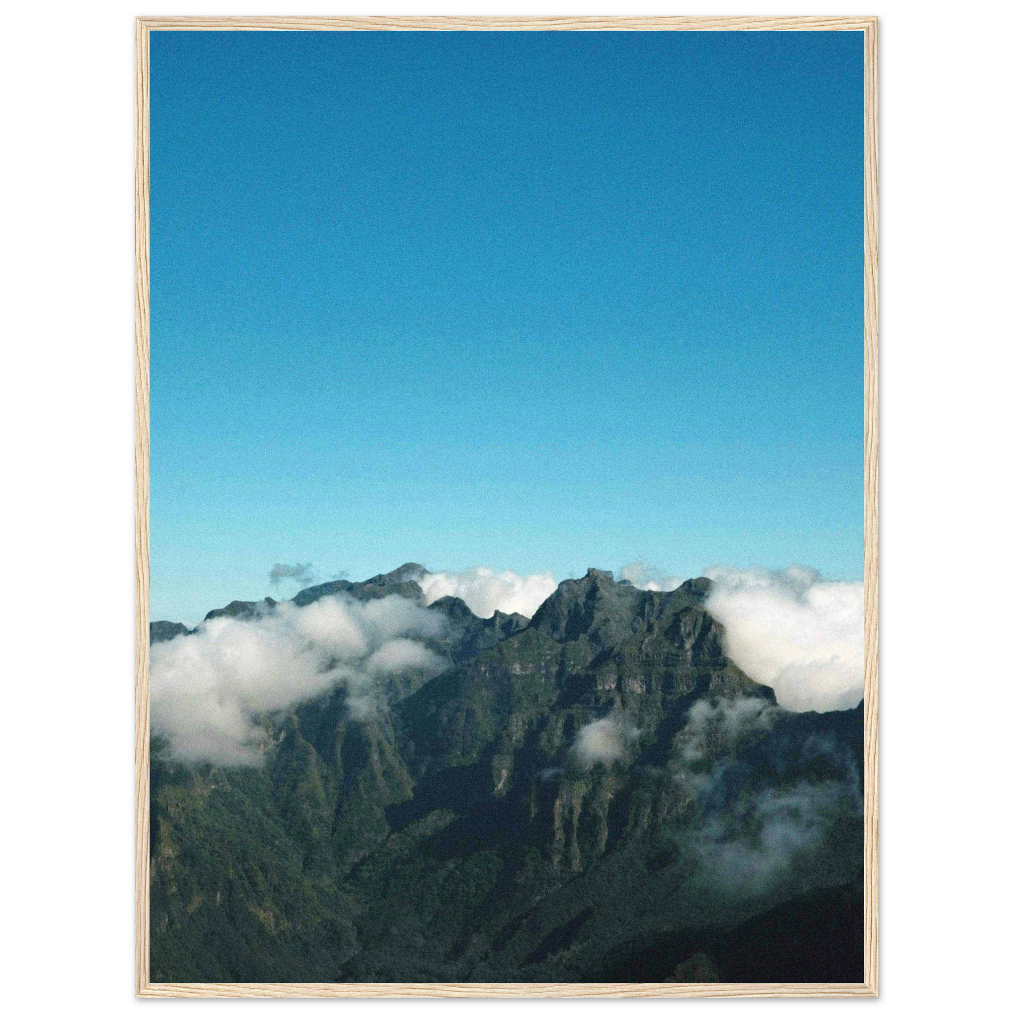 0b40a0f6-a710-4edb-abd4-b4e99d394c4f