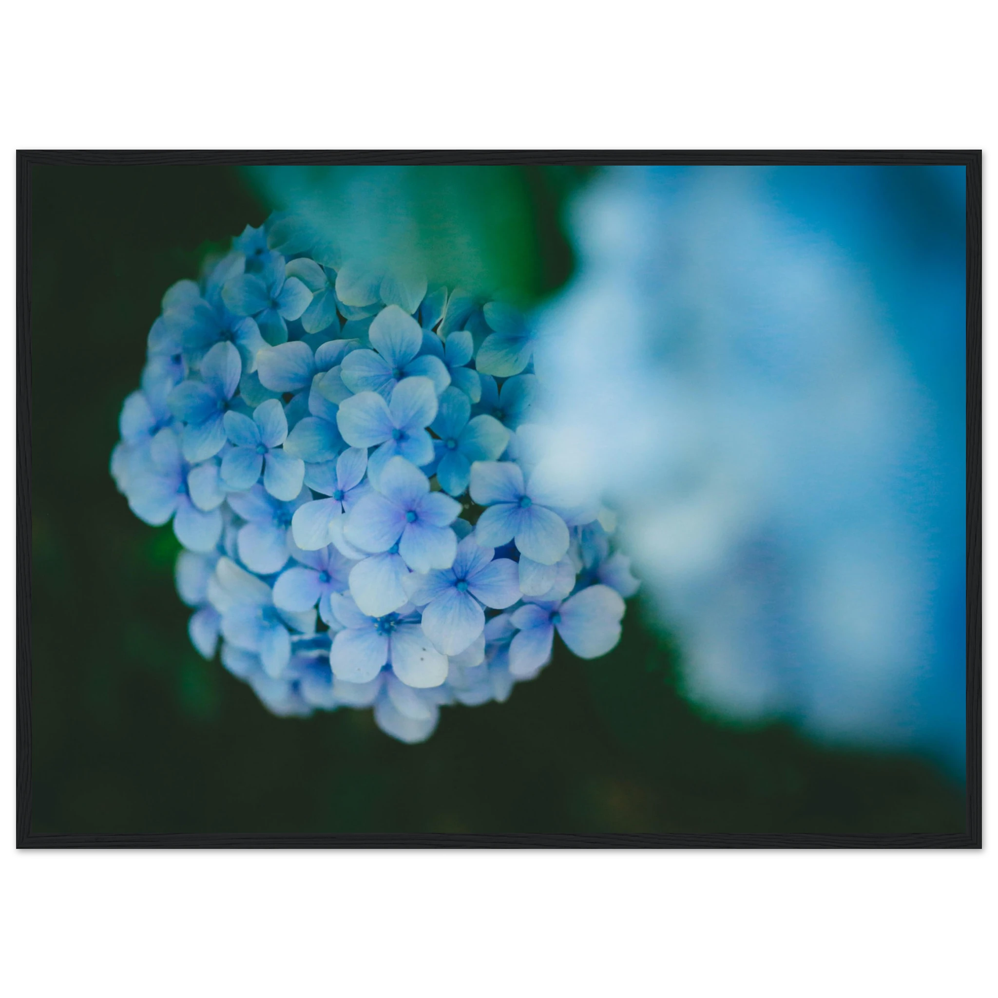 148a2884-4ebe-48ec-a32b-89117ea57c56