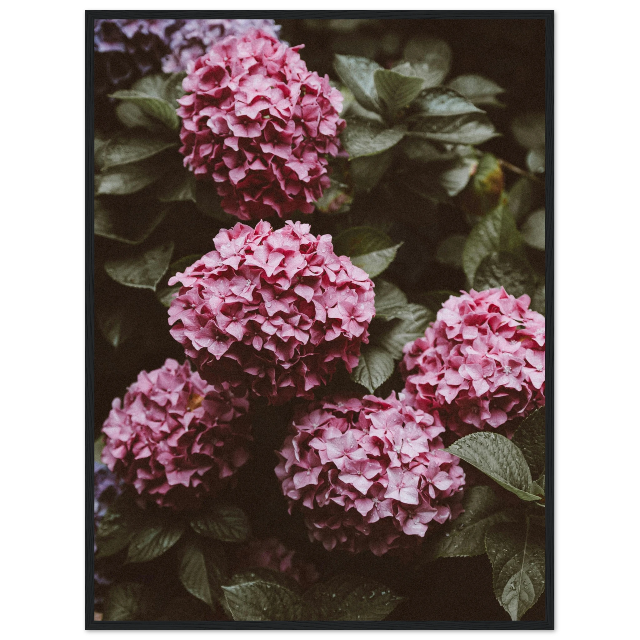 14c925d7-e321-46ea-ae14-e282e77da8ba