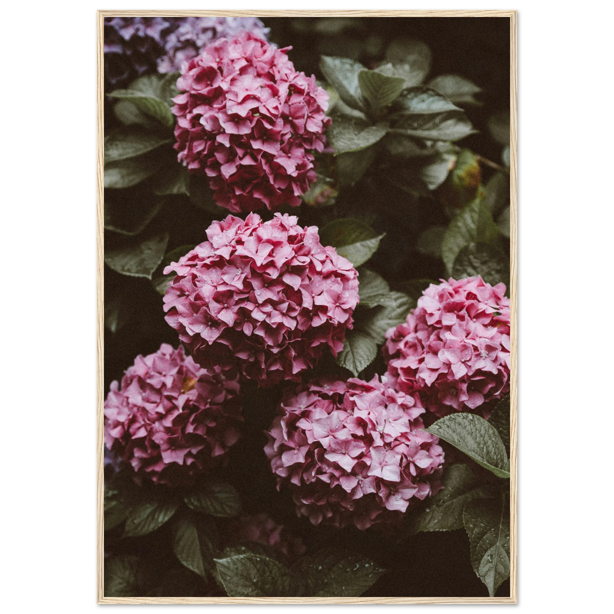 1d023c80-7230-4cc2-8bb9-23cc78fbc244