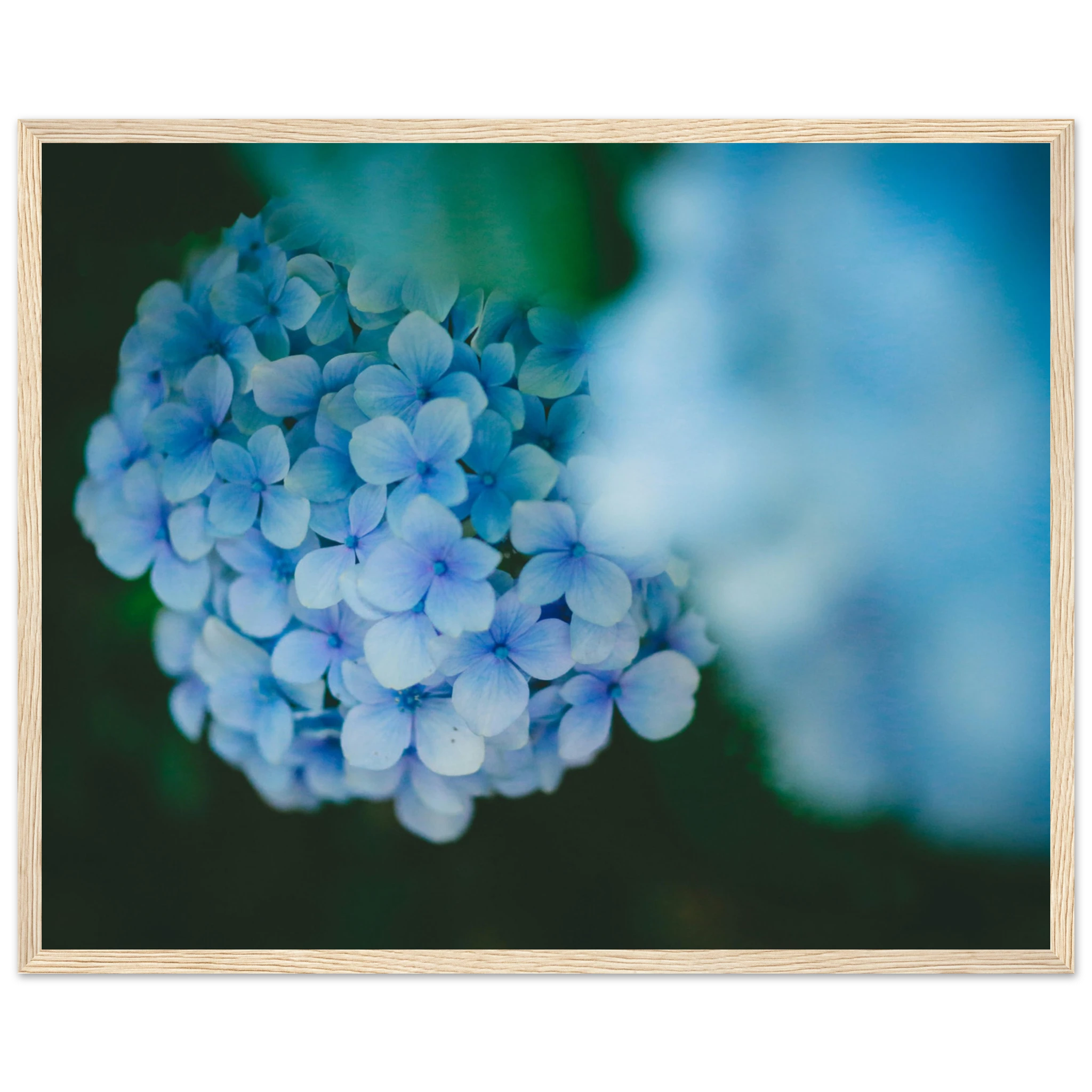 2d6990ce-8009-4297-928f-46bdc182701f