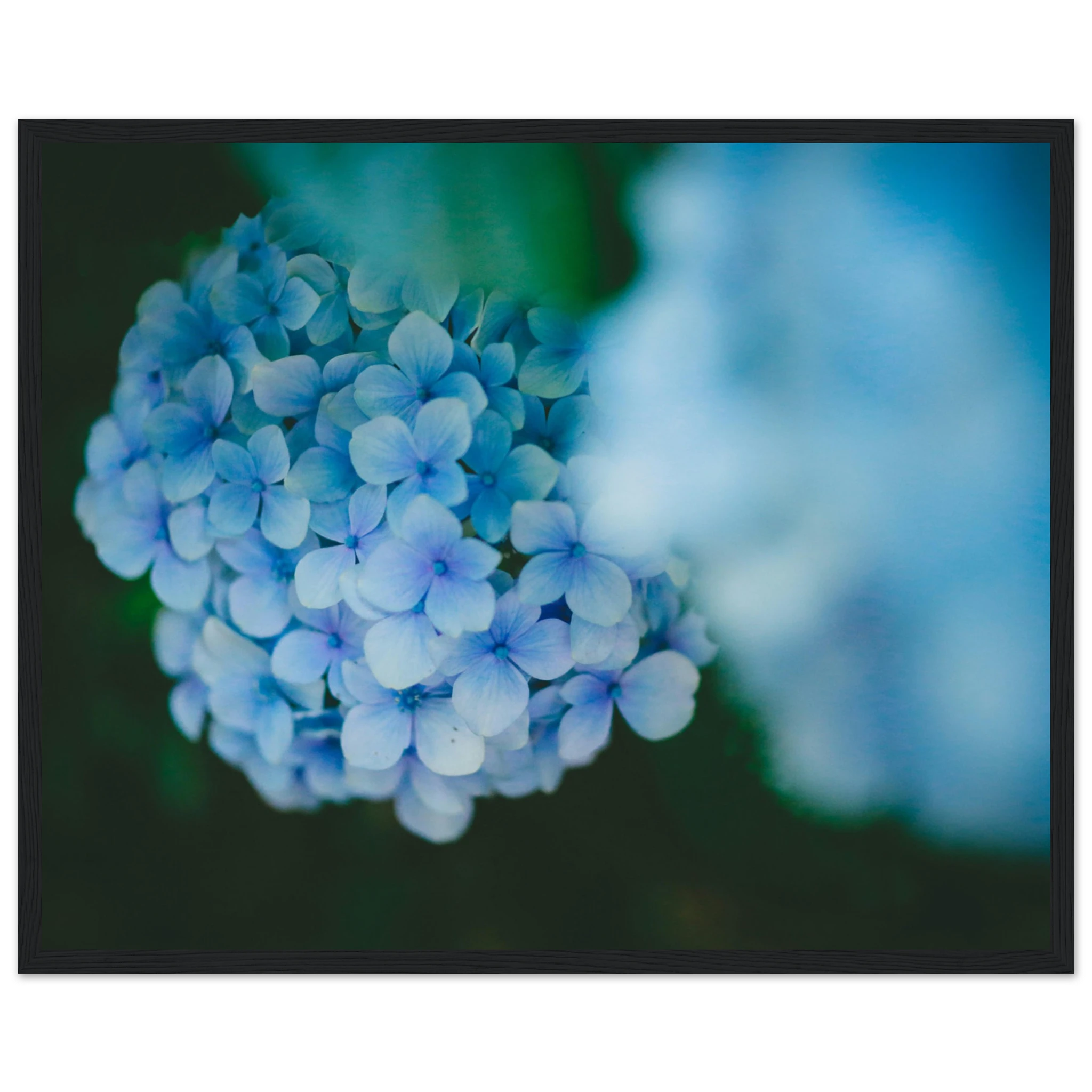 3168dc09-4545-4625-bb1d-1aa27d74c835