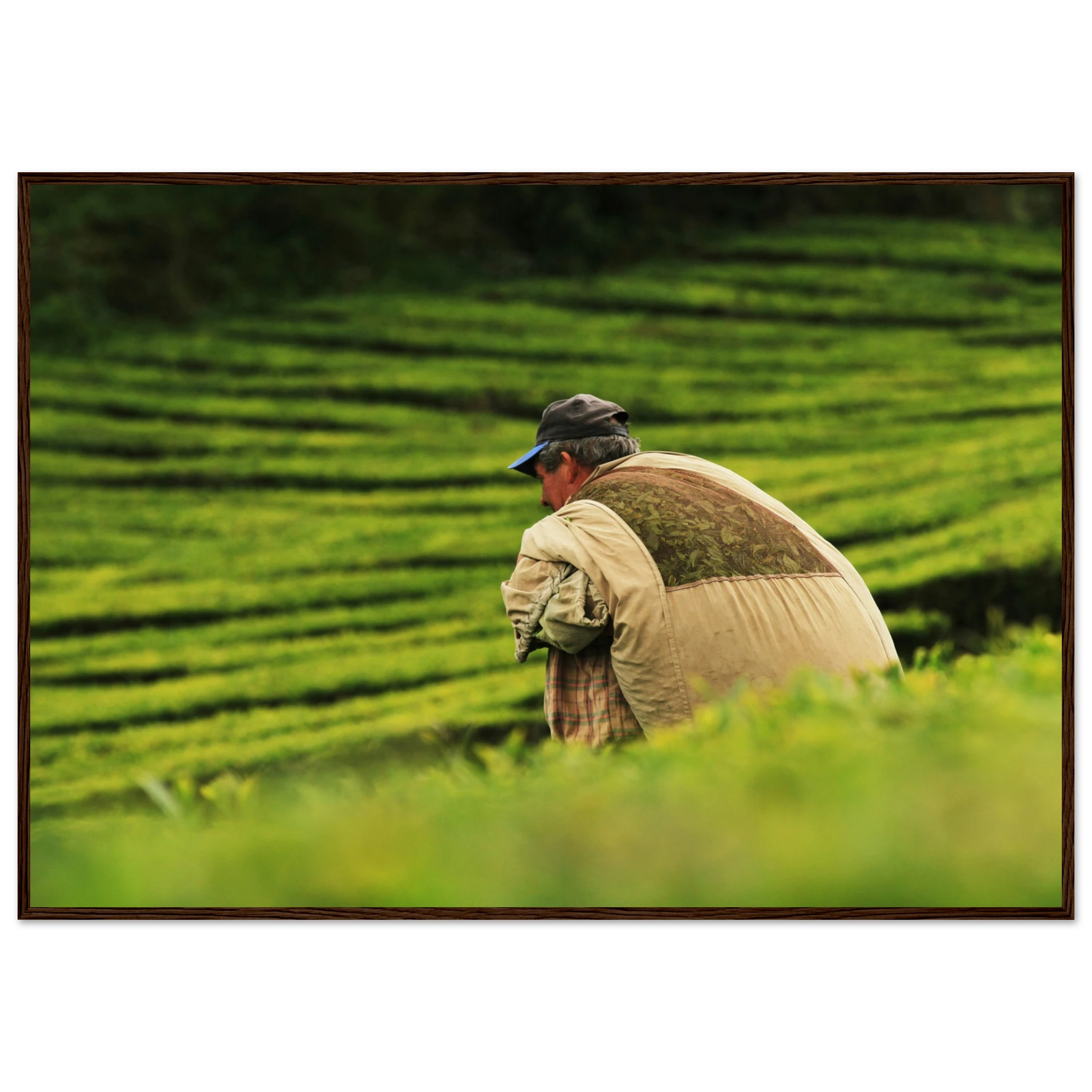 38a434ff-1d08-4784-a0cd-224372a89868