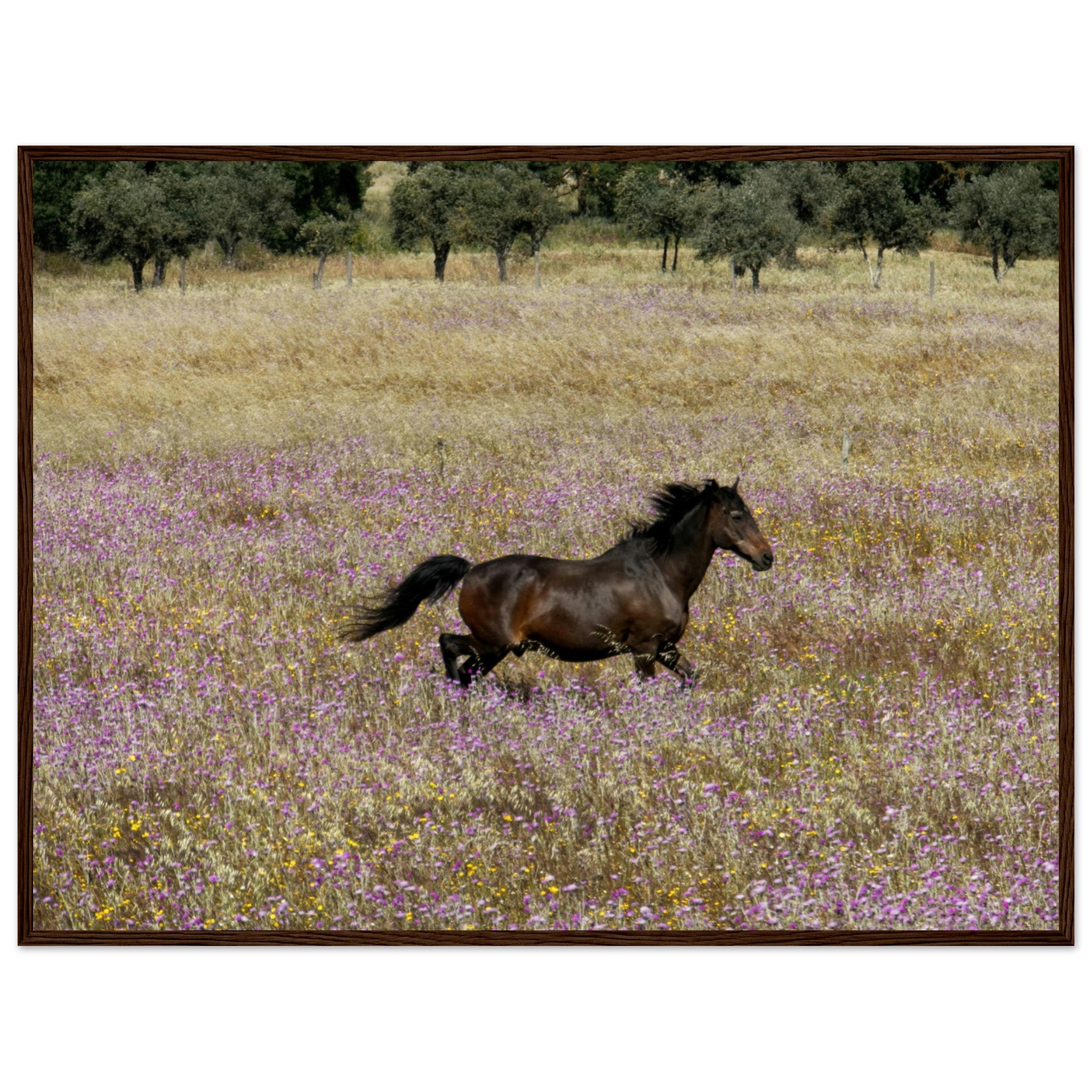 3c809287-c247-48d5-a94a-78d12e0ba505