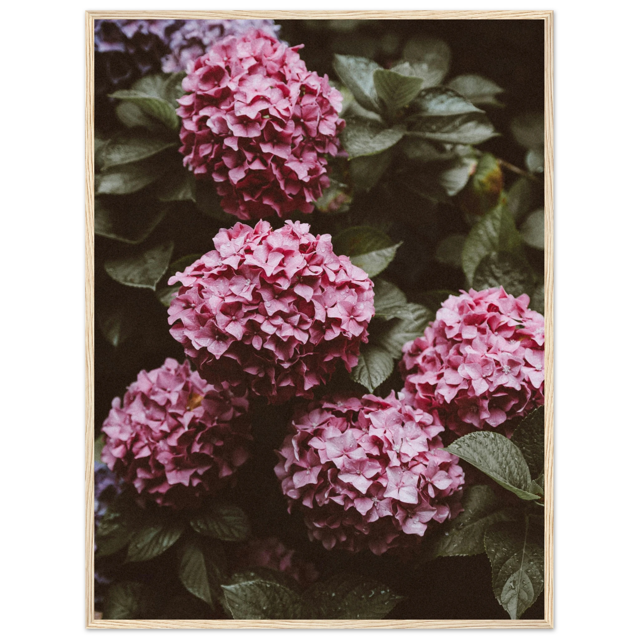 3e3cee95-d598-4c4b-84a5-60a7db58ed60