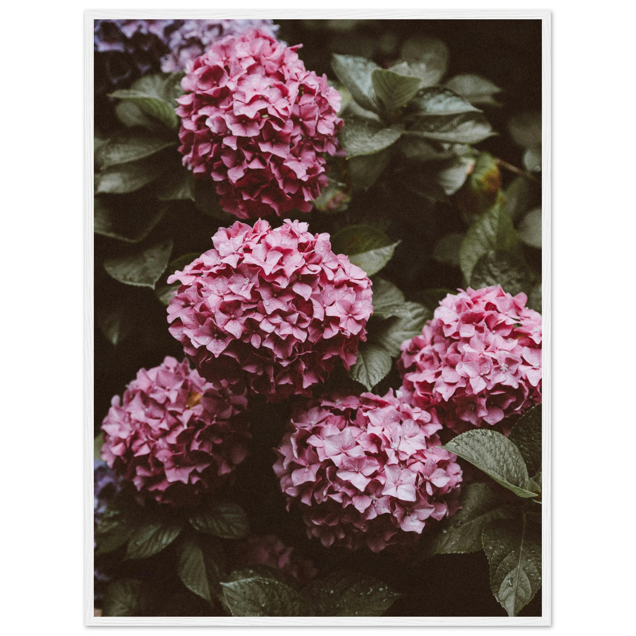 401fa2fb-f059-4d68-9109-5e497c4ef80e