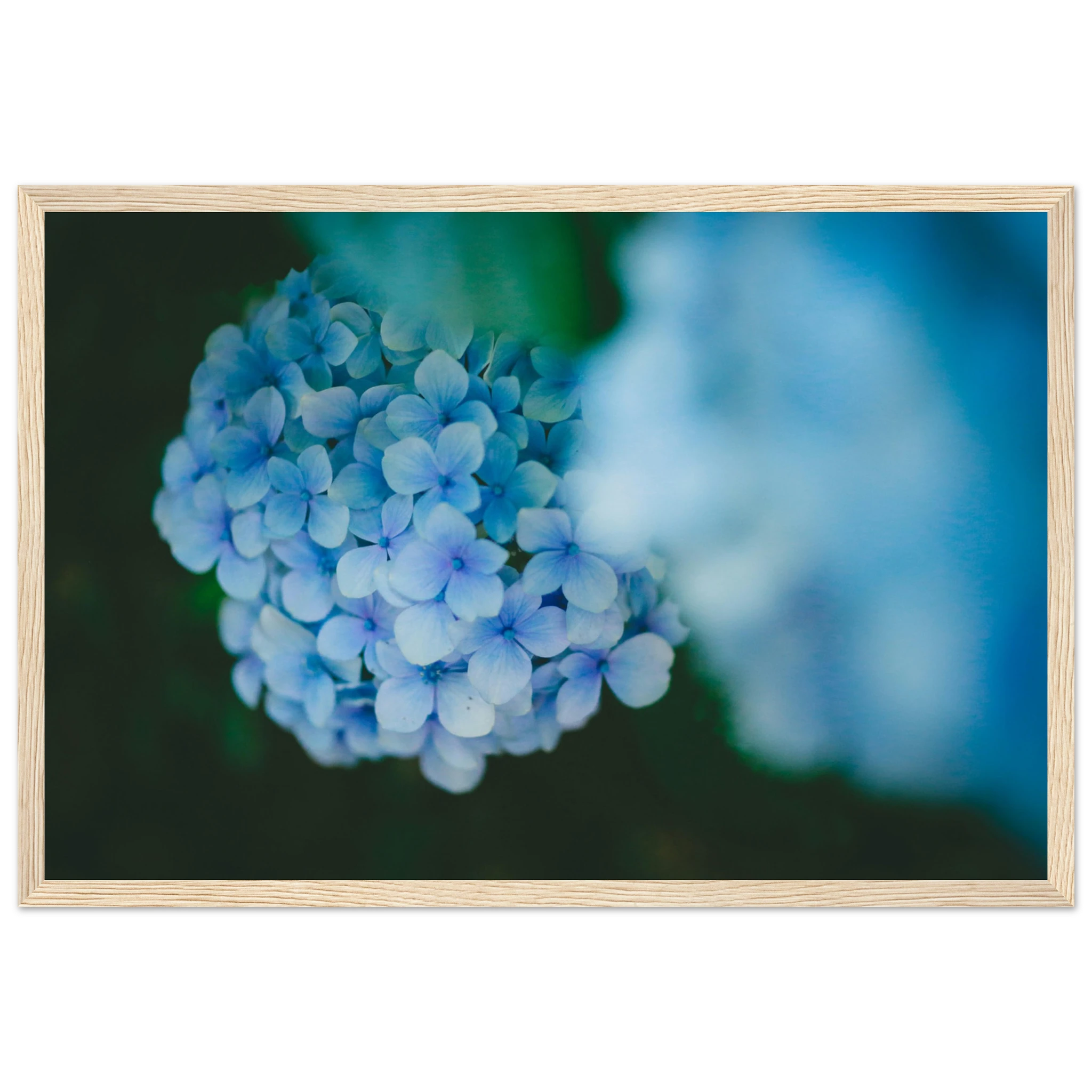 48425840-d678-4bdc-8880-485a8e06864b