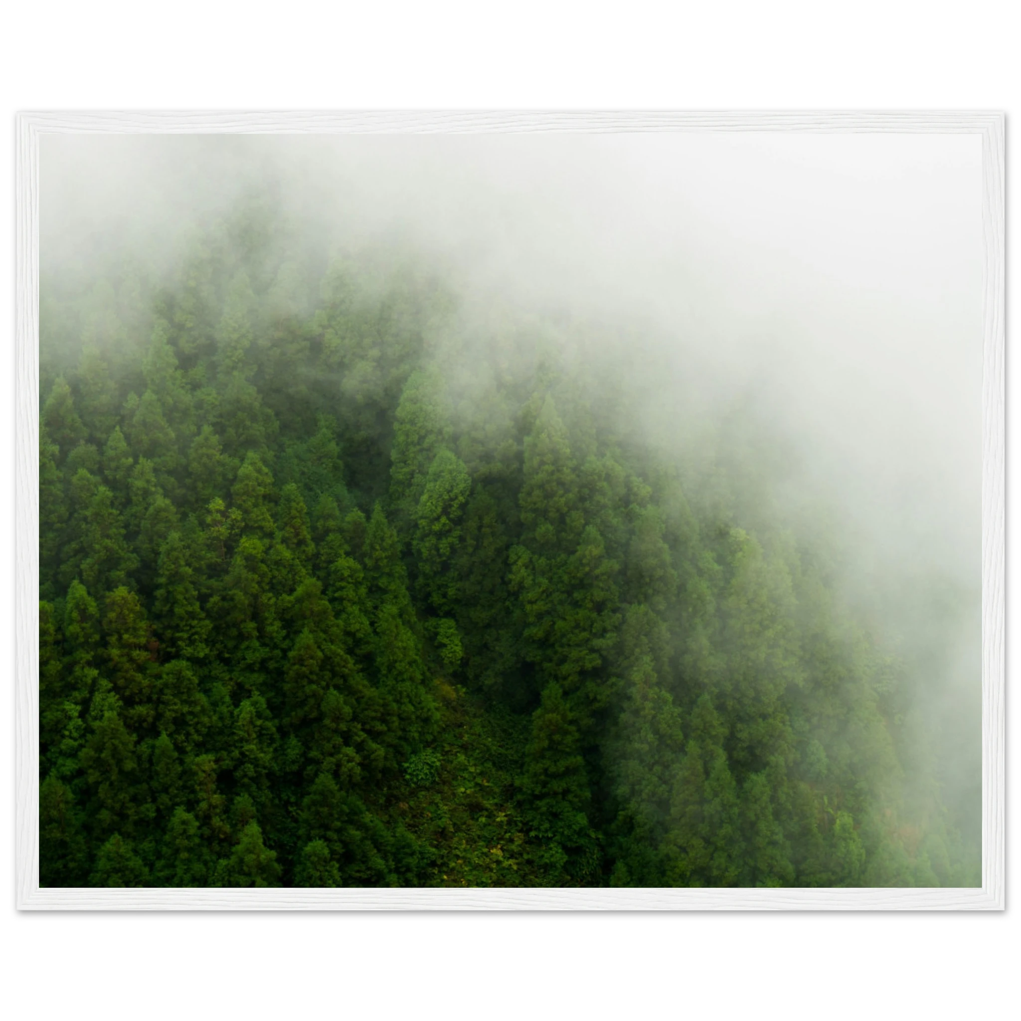 4bebd09d-e0a1-4a9a-84ee-f18f2a828352