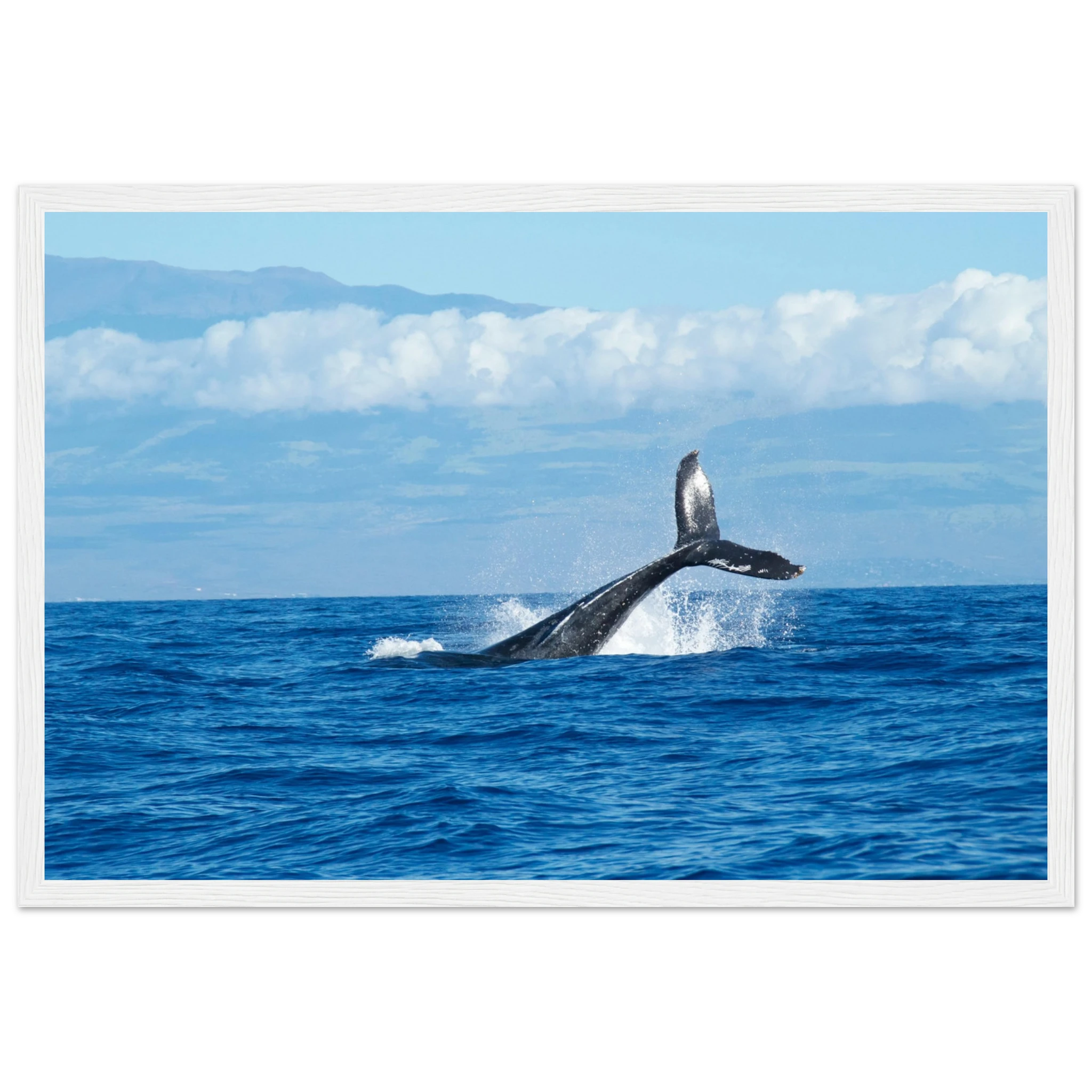 4ed87e68-c18f-4962-ab6e-826ec96068ce