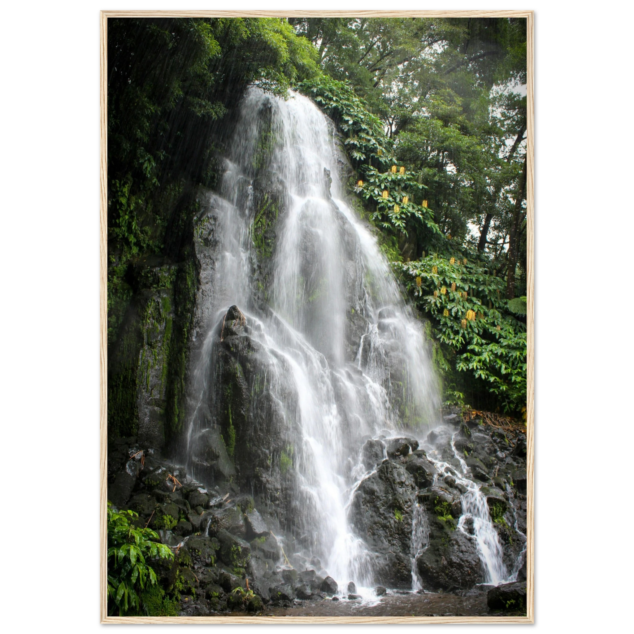 4f7e7ef4-9515-49df-a93f-22925f690e00
