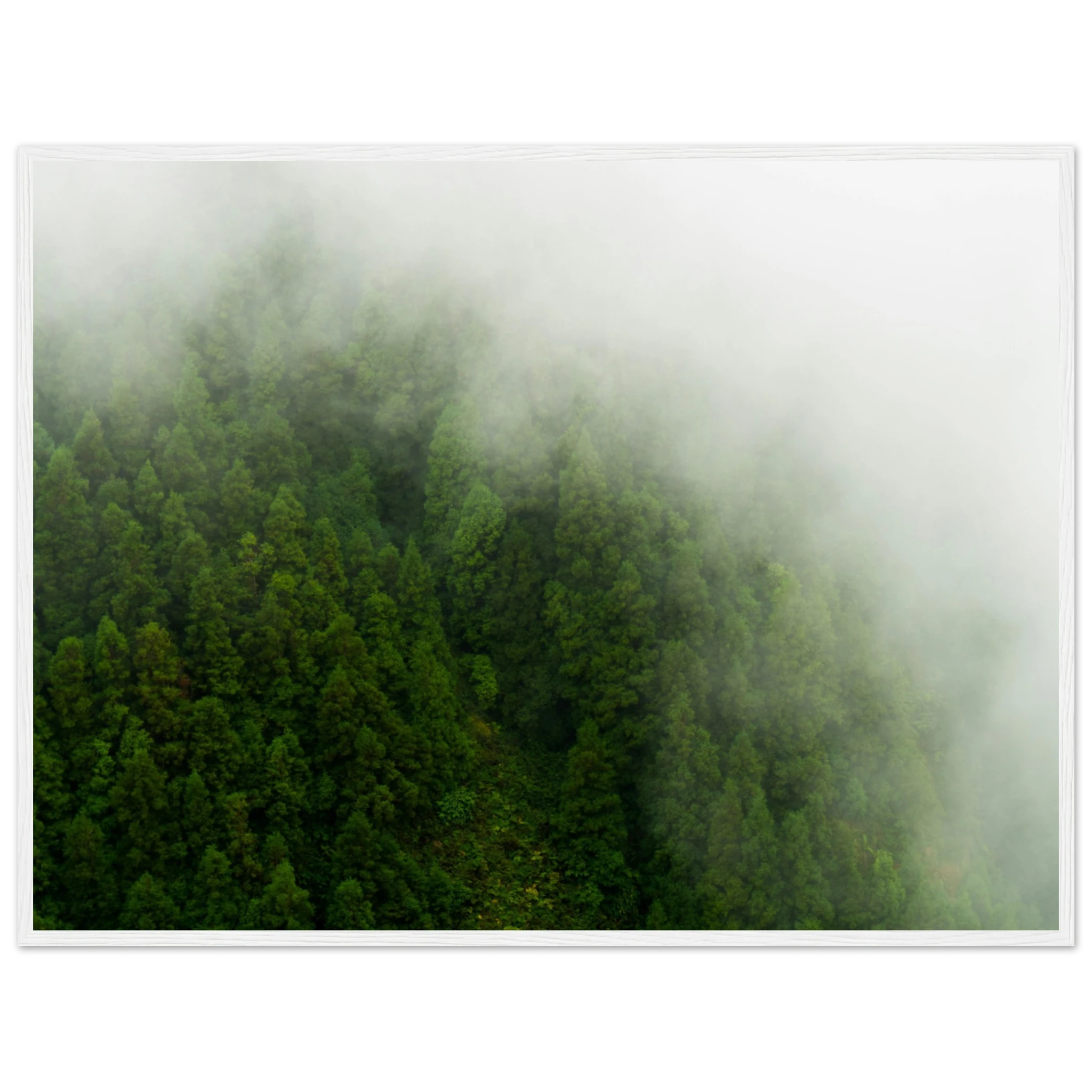 4fcc2300-c1ab-4f9e-9d01-3fcbaf473d50