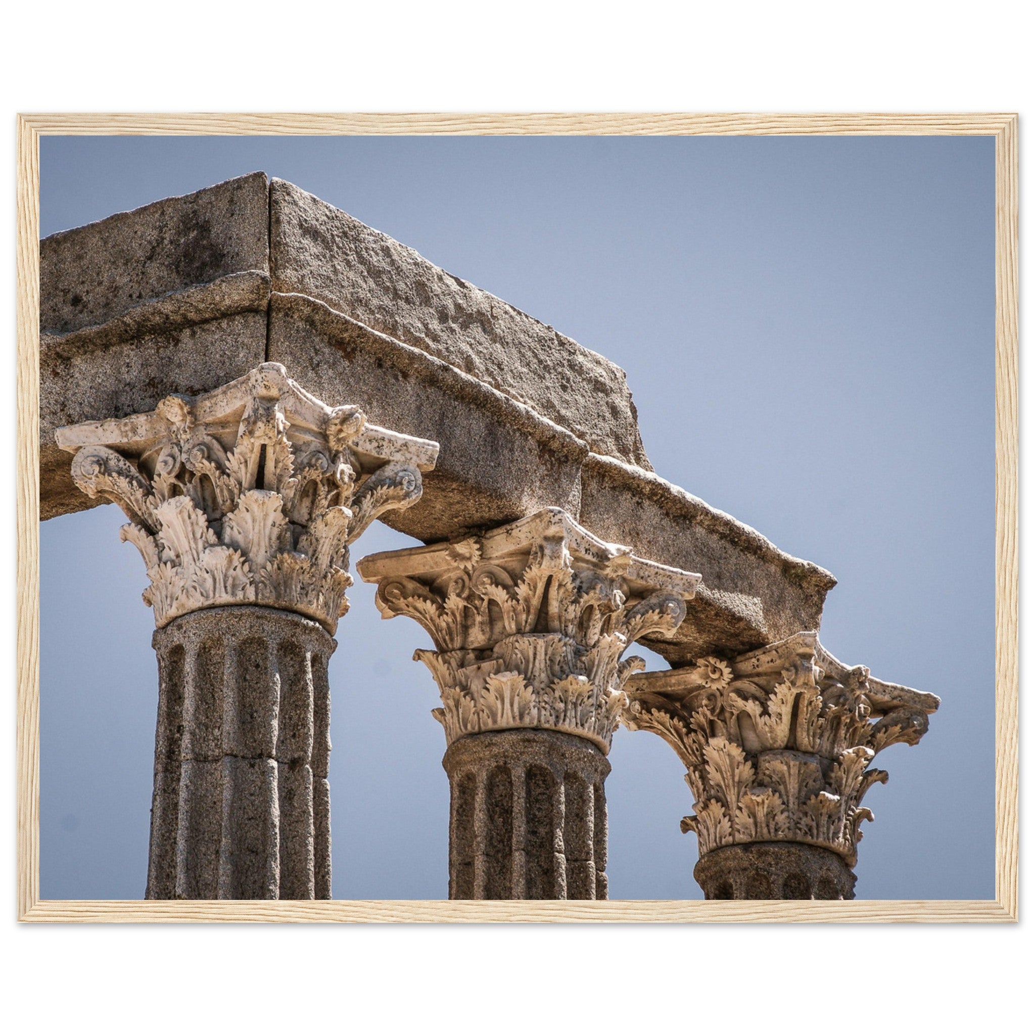 508f9045-c3ed-45af-bac9-a8681f156da9