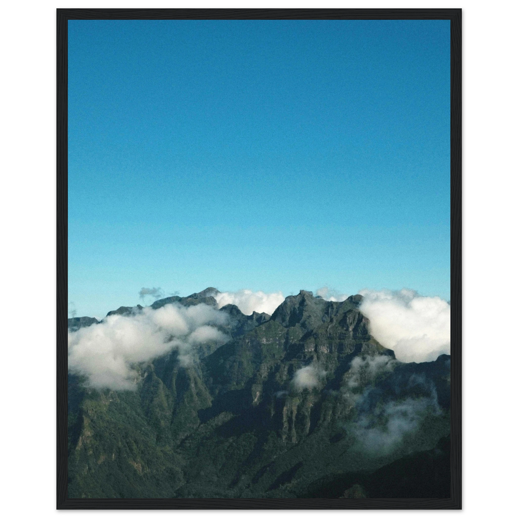 51f07ccf-89a8-45cf-8812-121d8a8fdb21