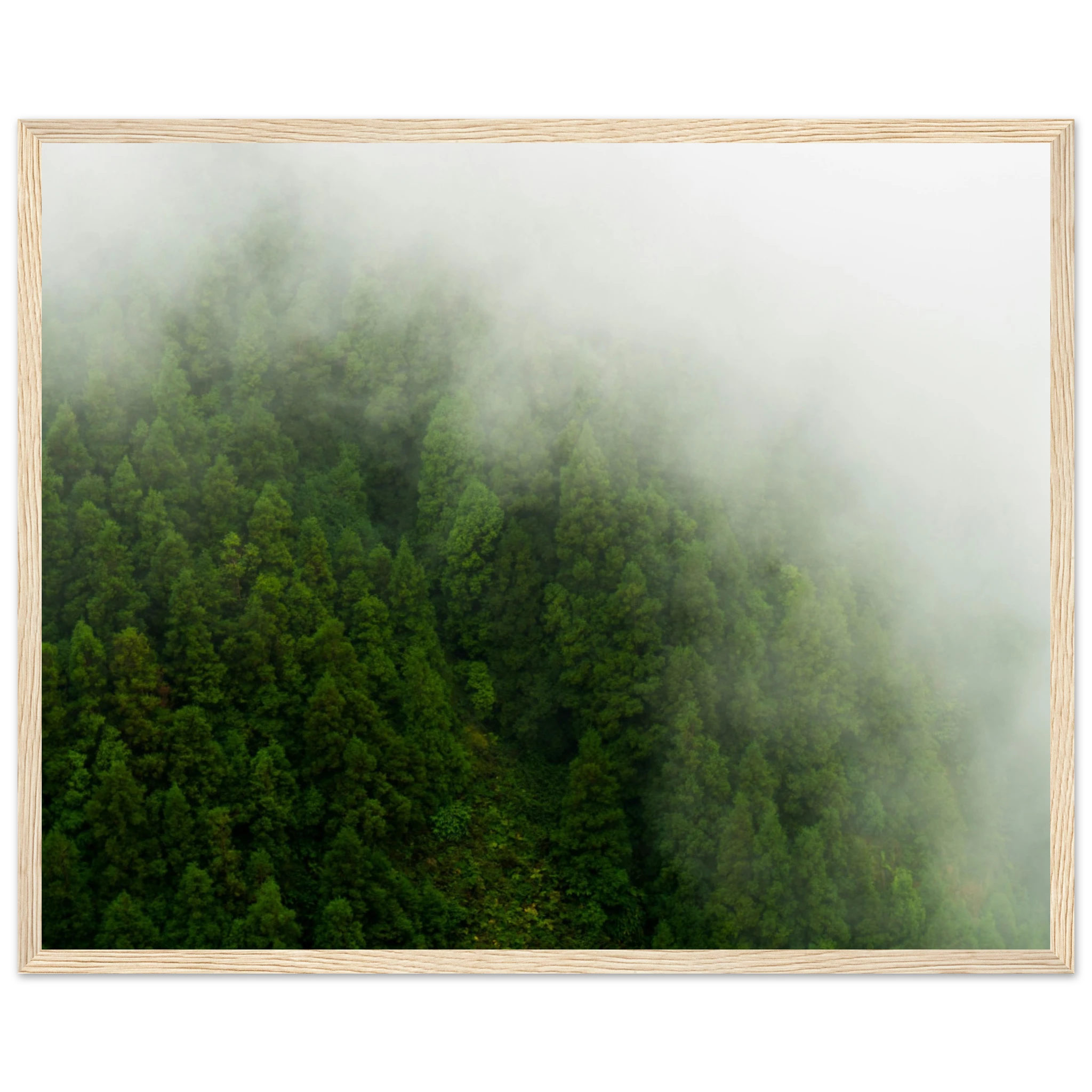 52f48ca3-f8aa-4bd6-bdab-a648dbd10c07