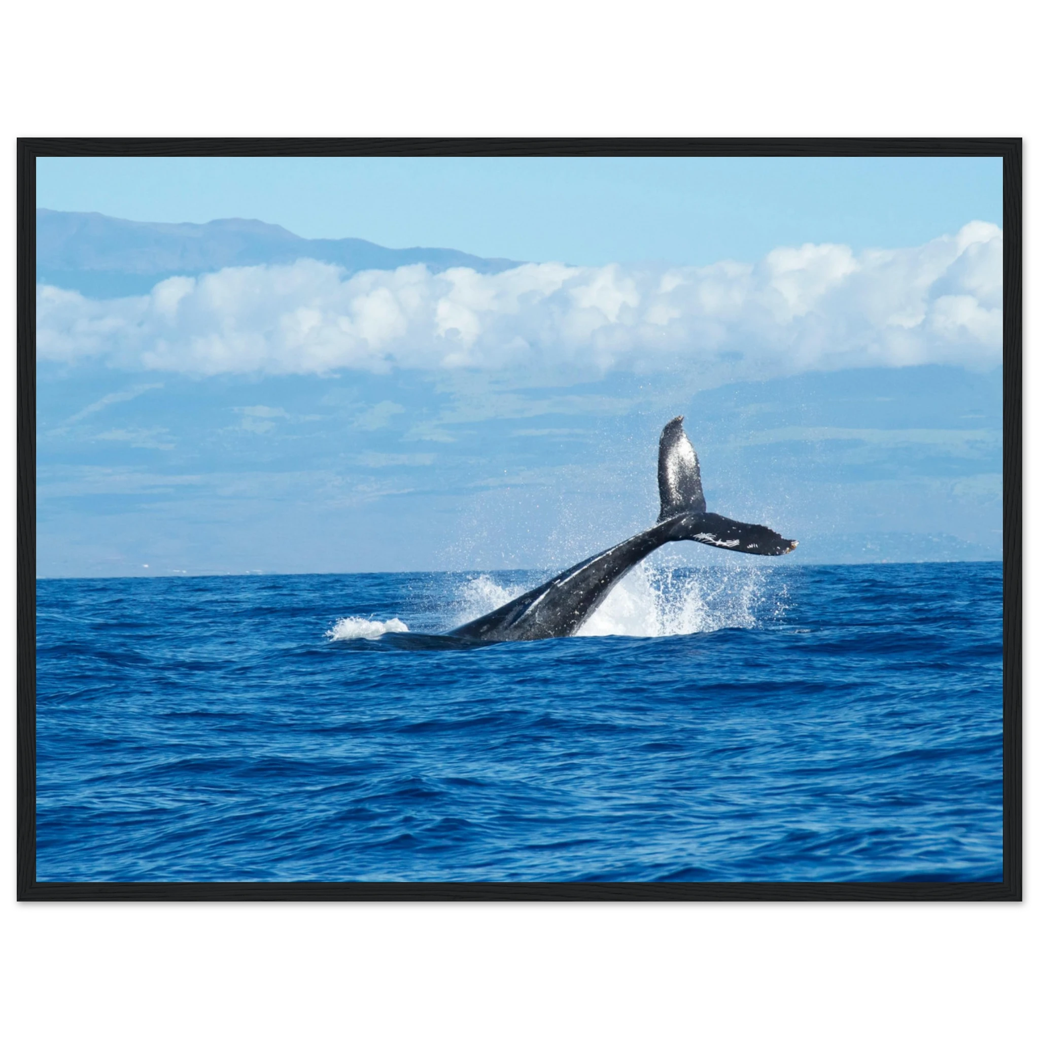 58349fab-98be-4aa8-a9ed-cee38e7657ff
