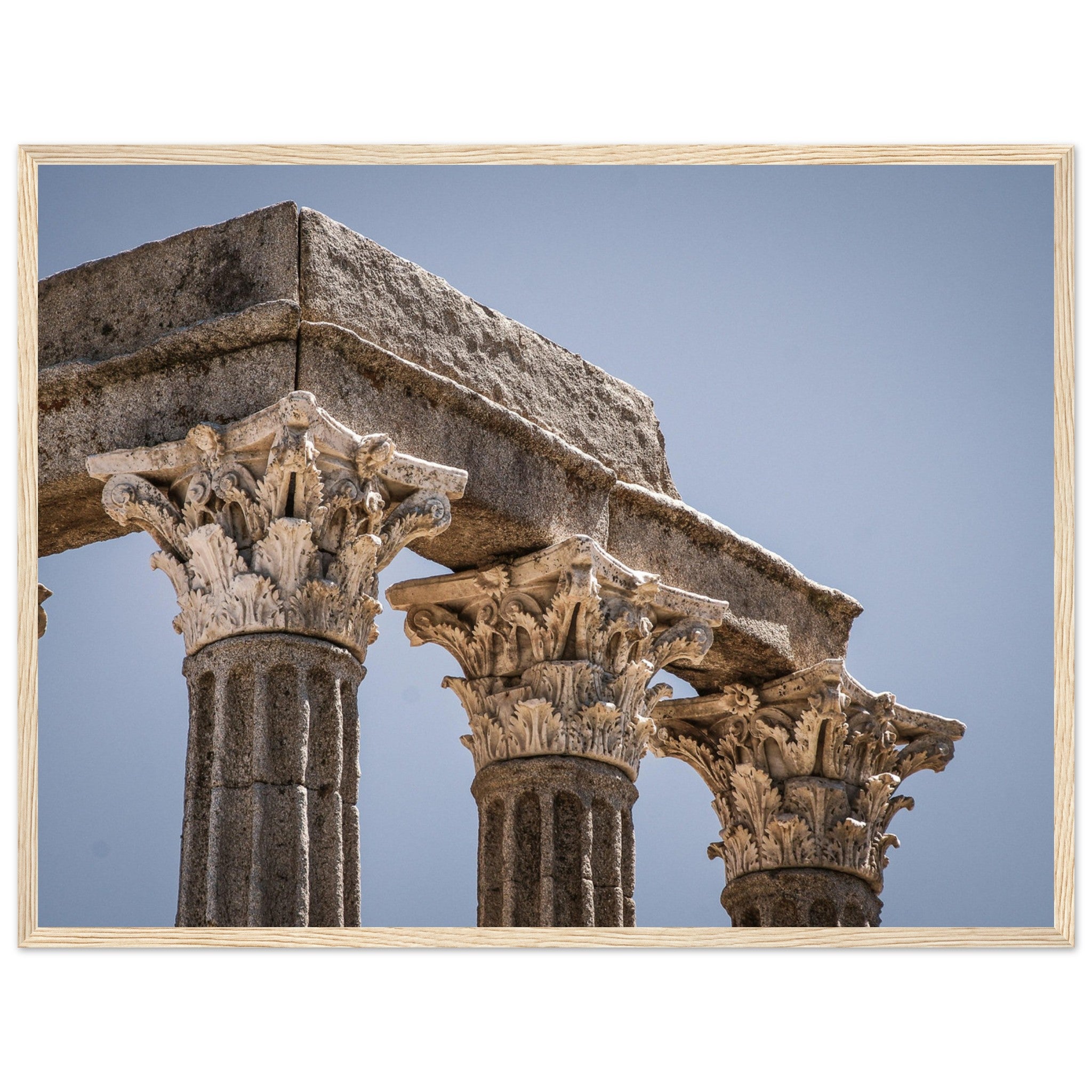 59099eb6-7a02-46bd-827b-67c52934a99c