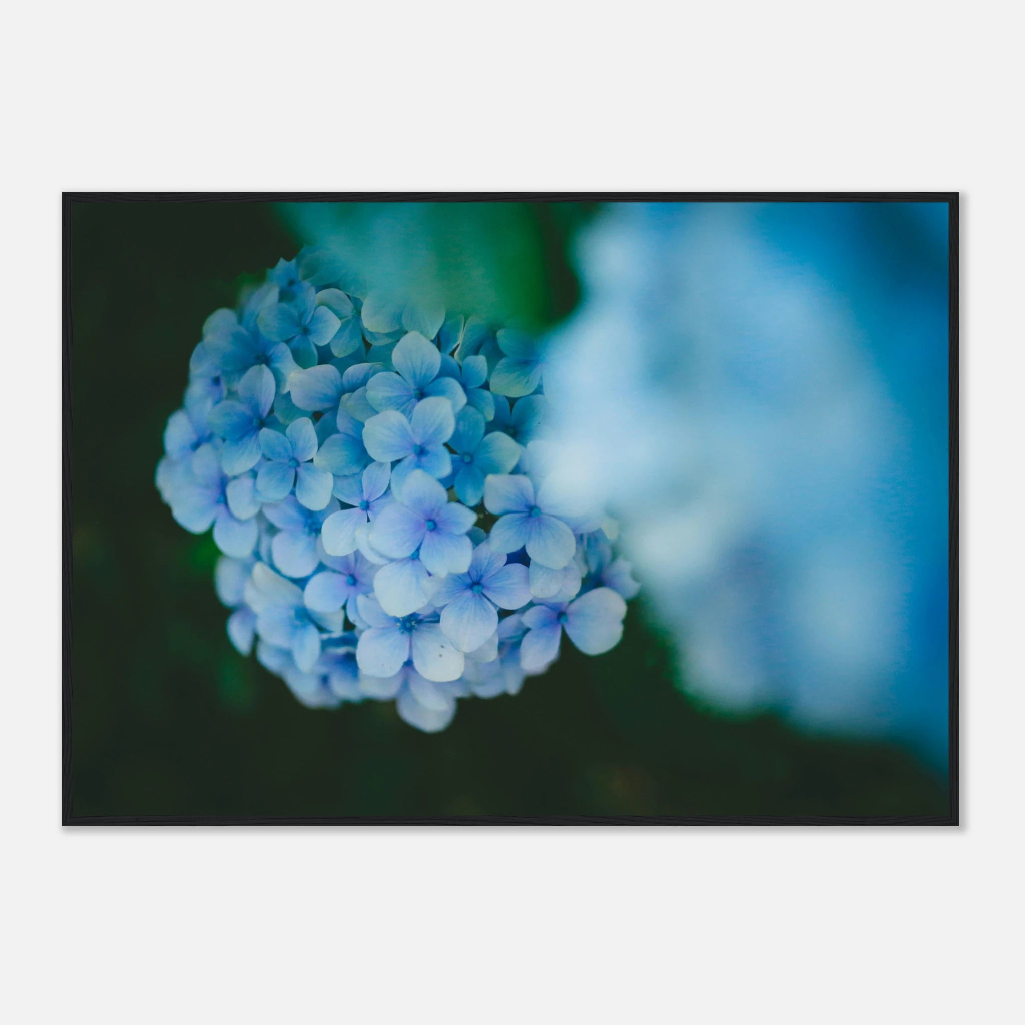 5c409f2a-f2ff-4aca-a7a1-74f4e2aca820