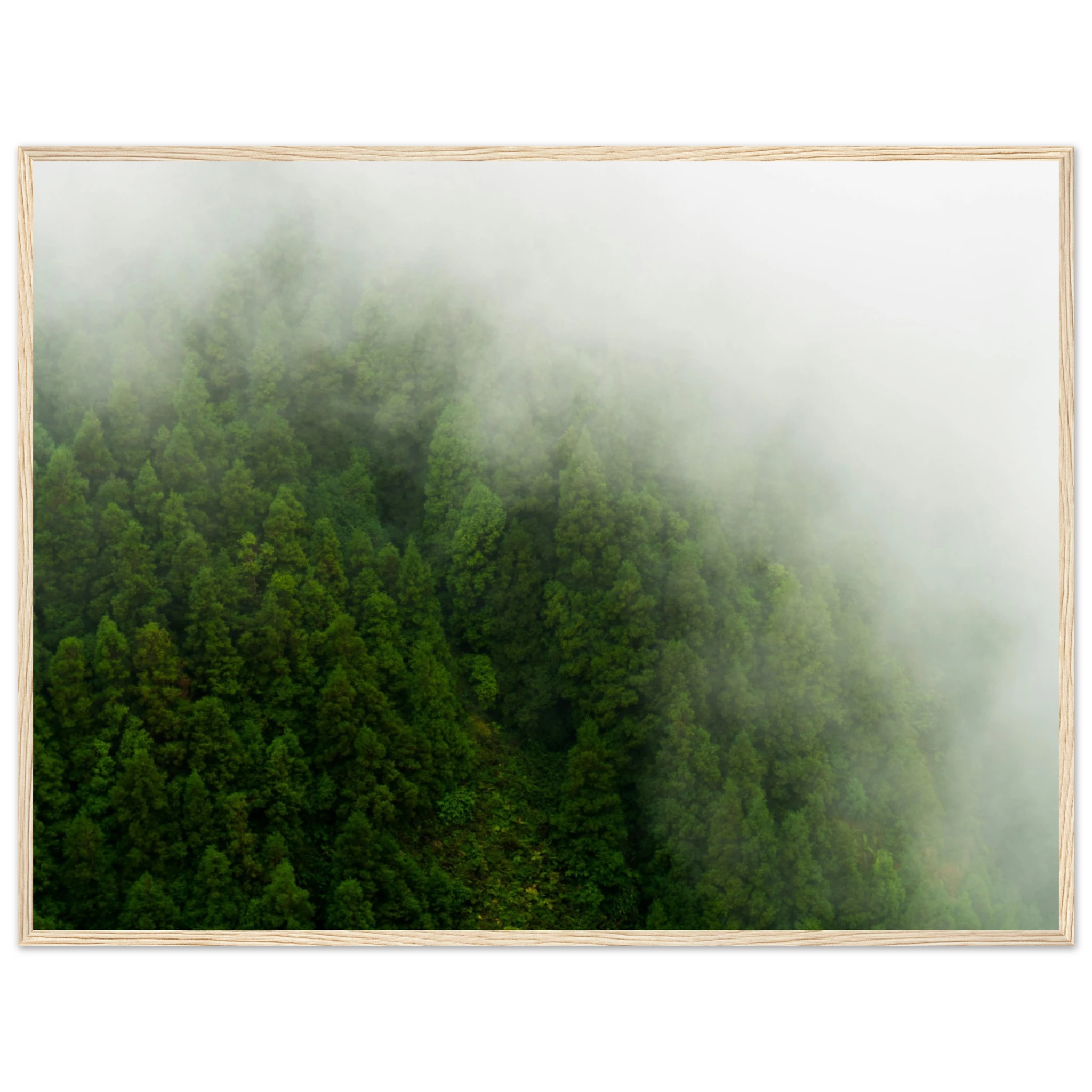 5fb62956-35c4-48cb-9342-c00ed94b45cd