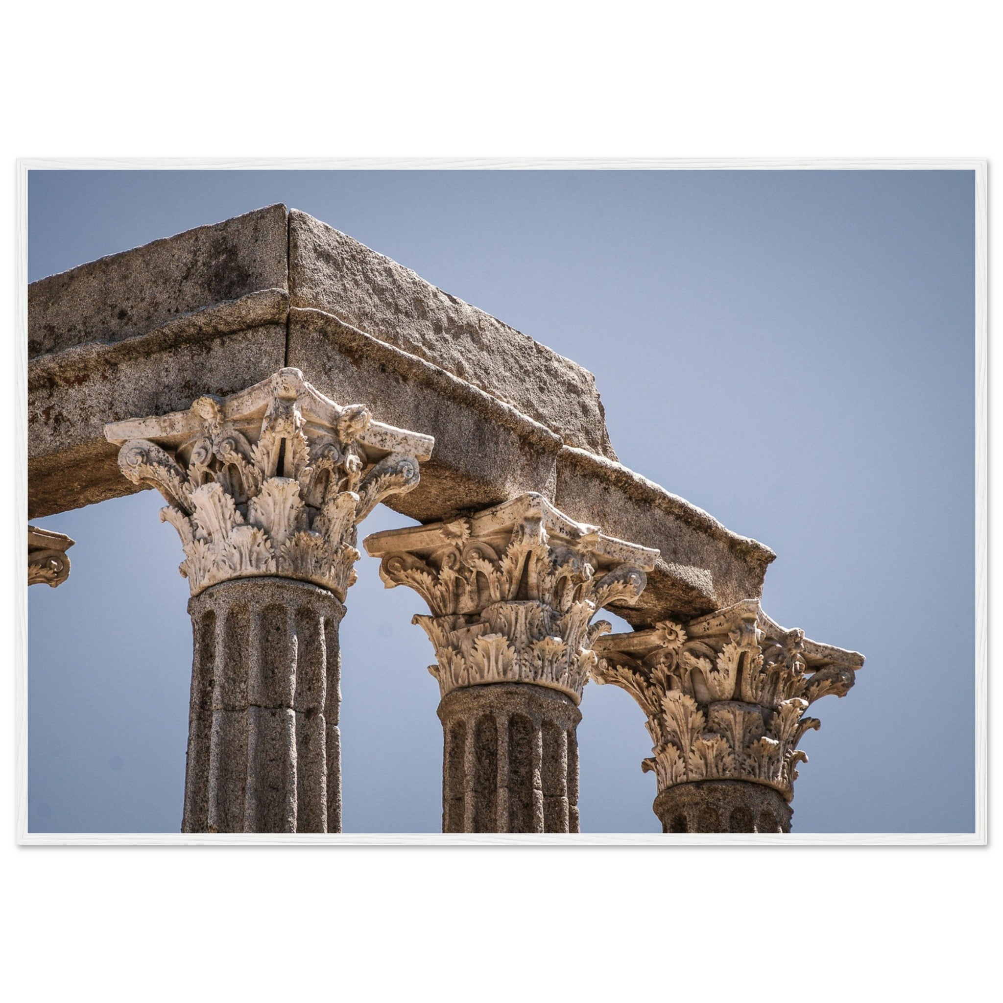 66d48685-81bc-4746-97ce-22c89327af38