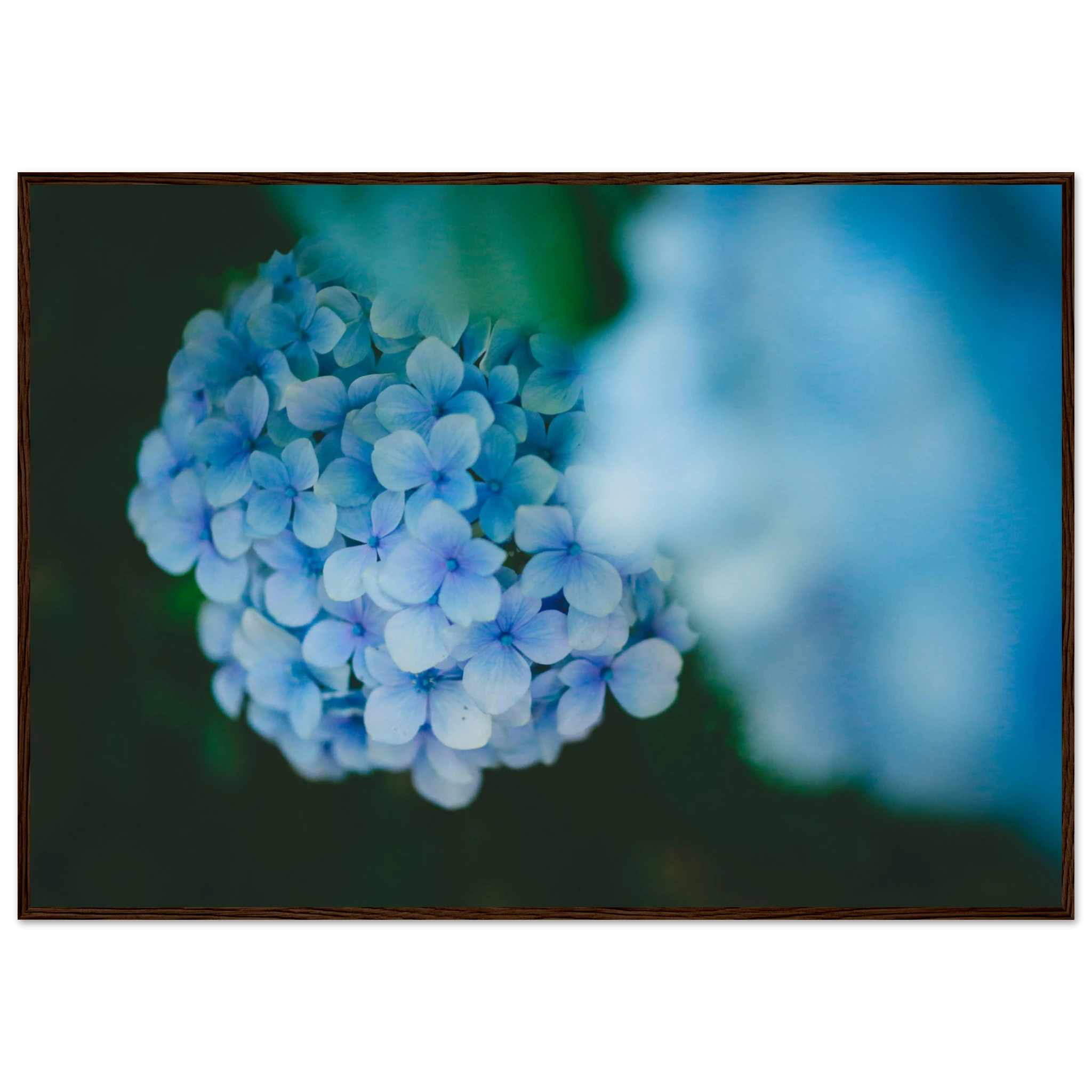 6891ad08-3834-48c1-884c-ff4e2ff34113