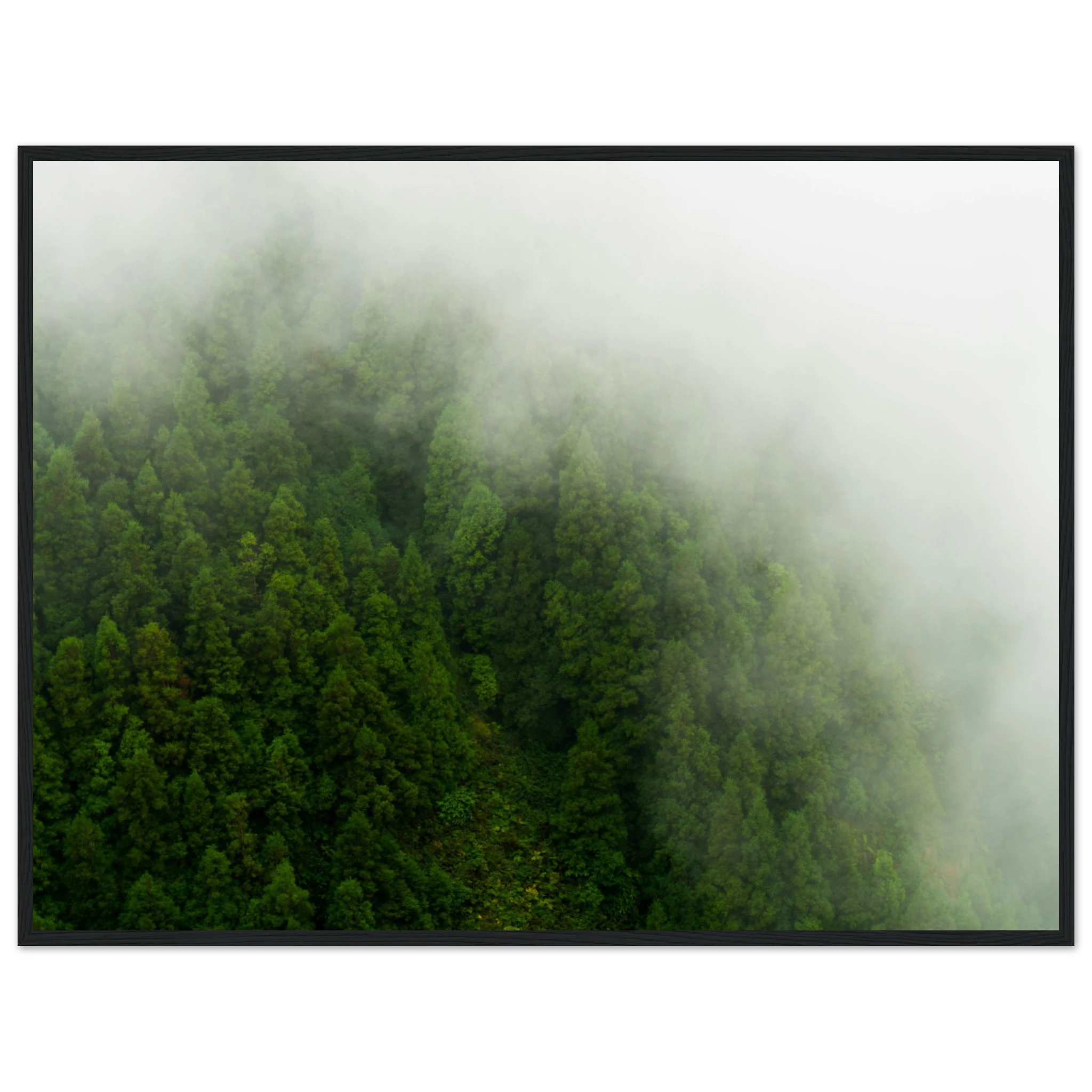 69c2b6f1-e75f-4e0f-8350-4c32e383853e