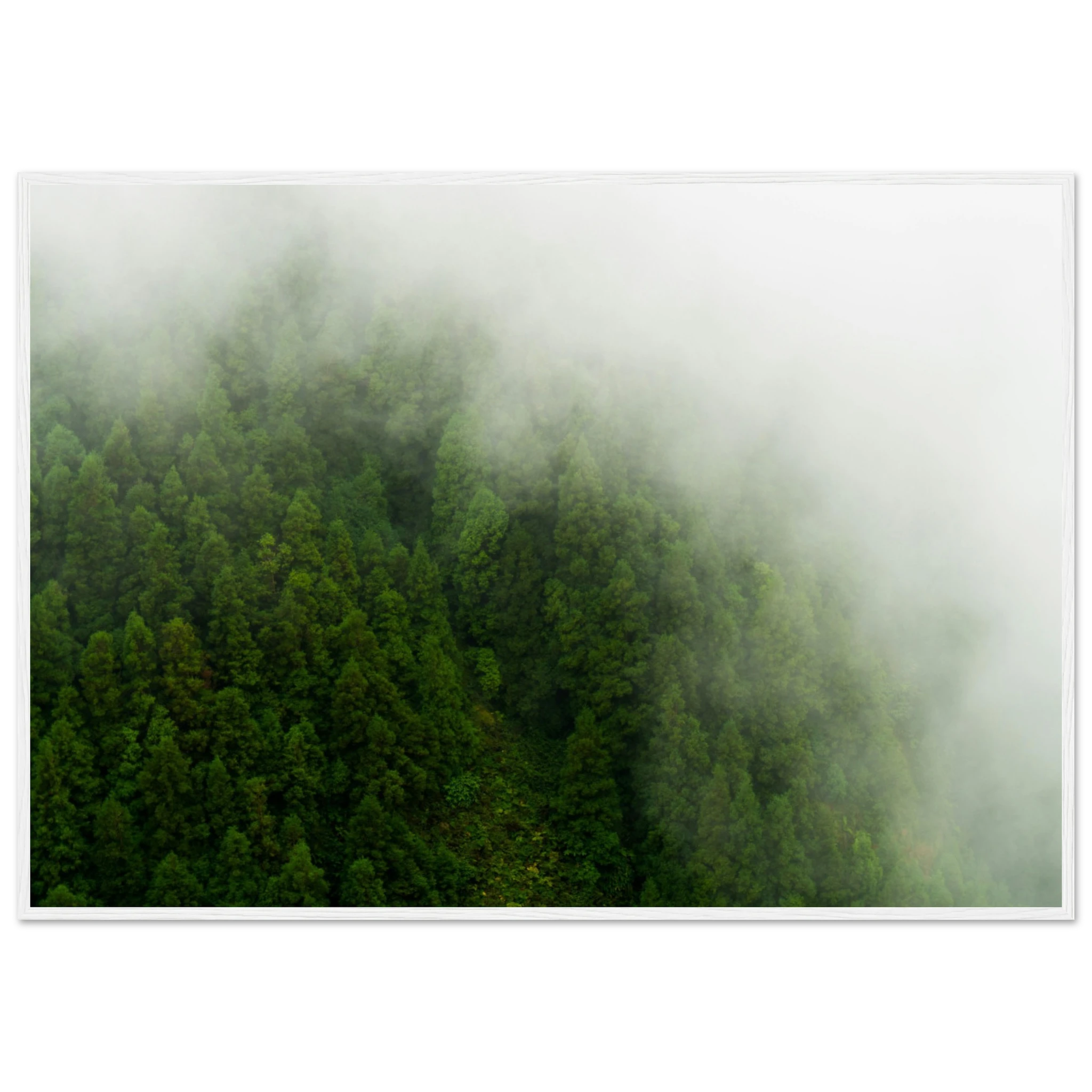 6a6fe4e2-8780-40ca-91b5-74da707223ba