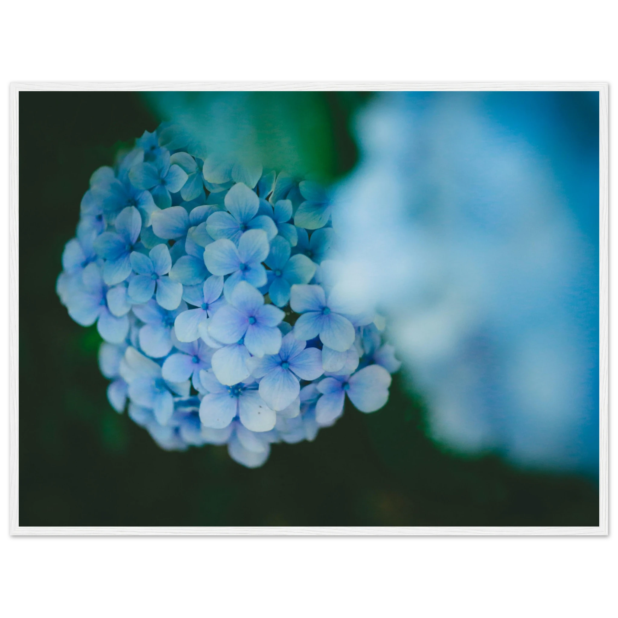 6b49312c-3647-4b47-a28d-0cc72ec8587d