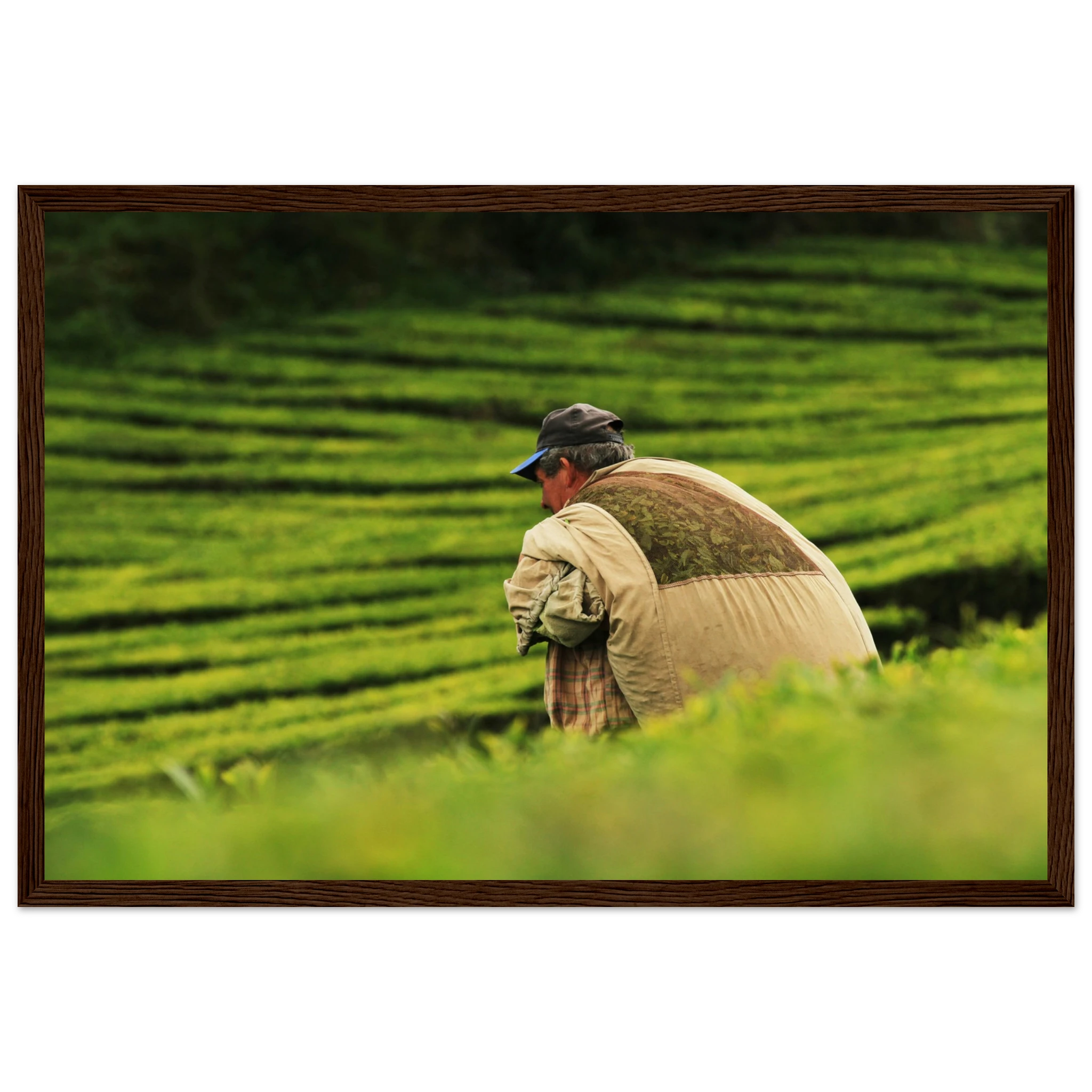 6d552eb8-0e93-47f6-9e17-ae9d089b8294