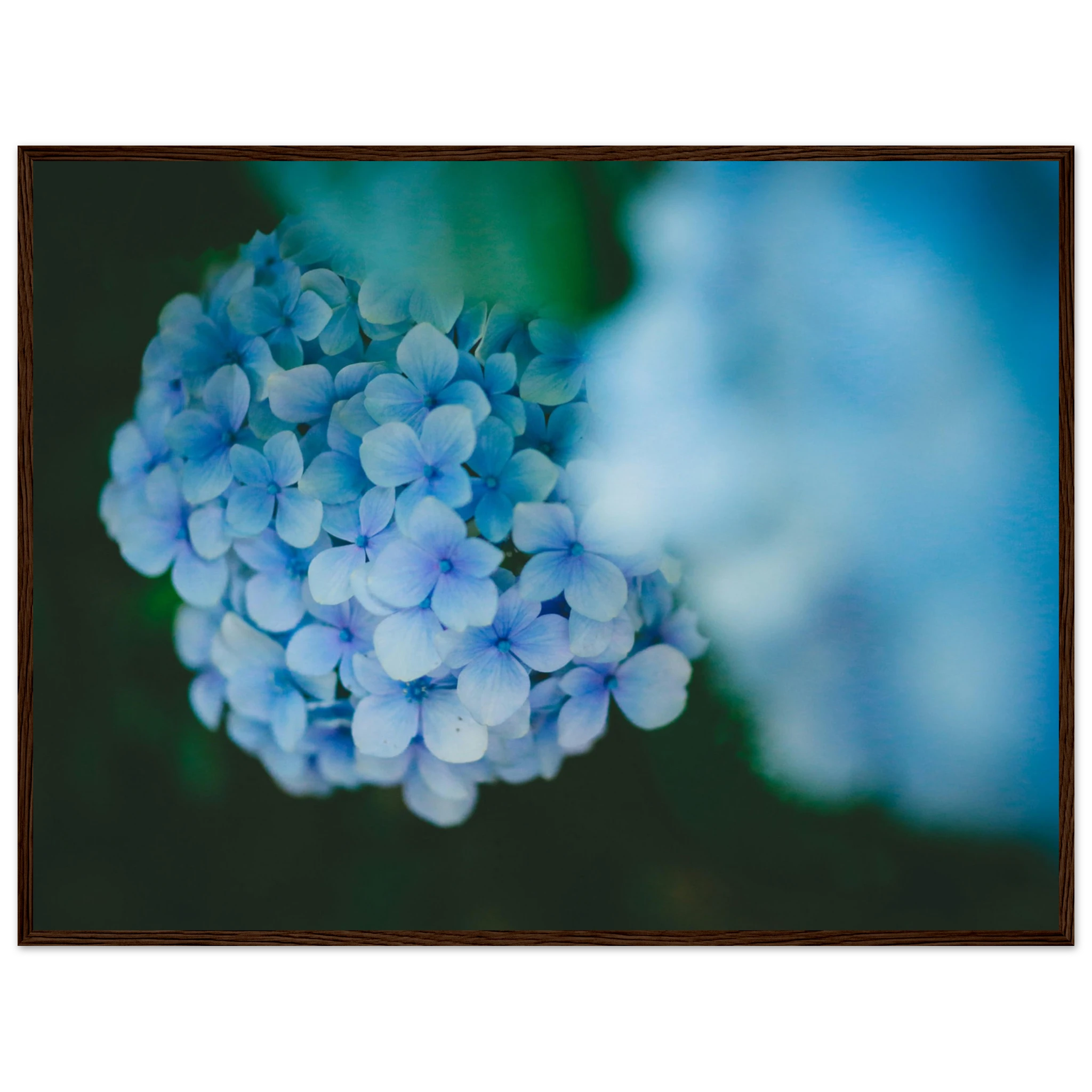 6e7b1adc-a0a0-4a6b-9bab-2f4341247601