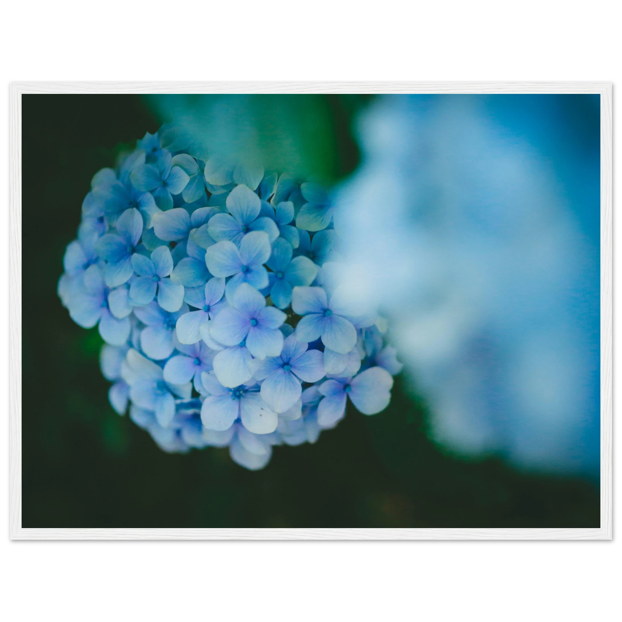 7286dadd-22e3-411d-aa31-76fc1e3c02fb