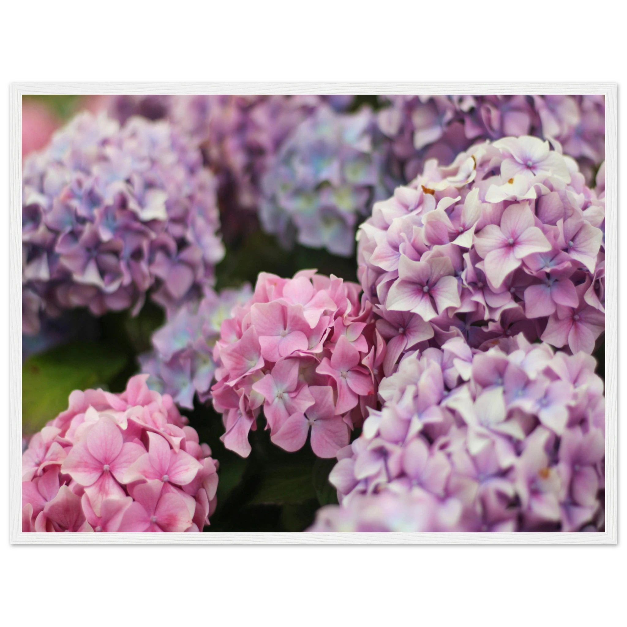 744fb9d1-bfec-409b-836b-01028e4fdcf5