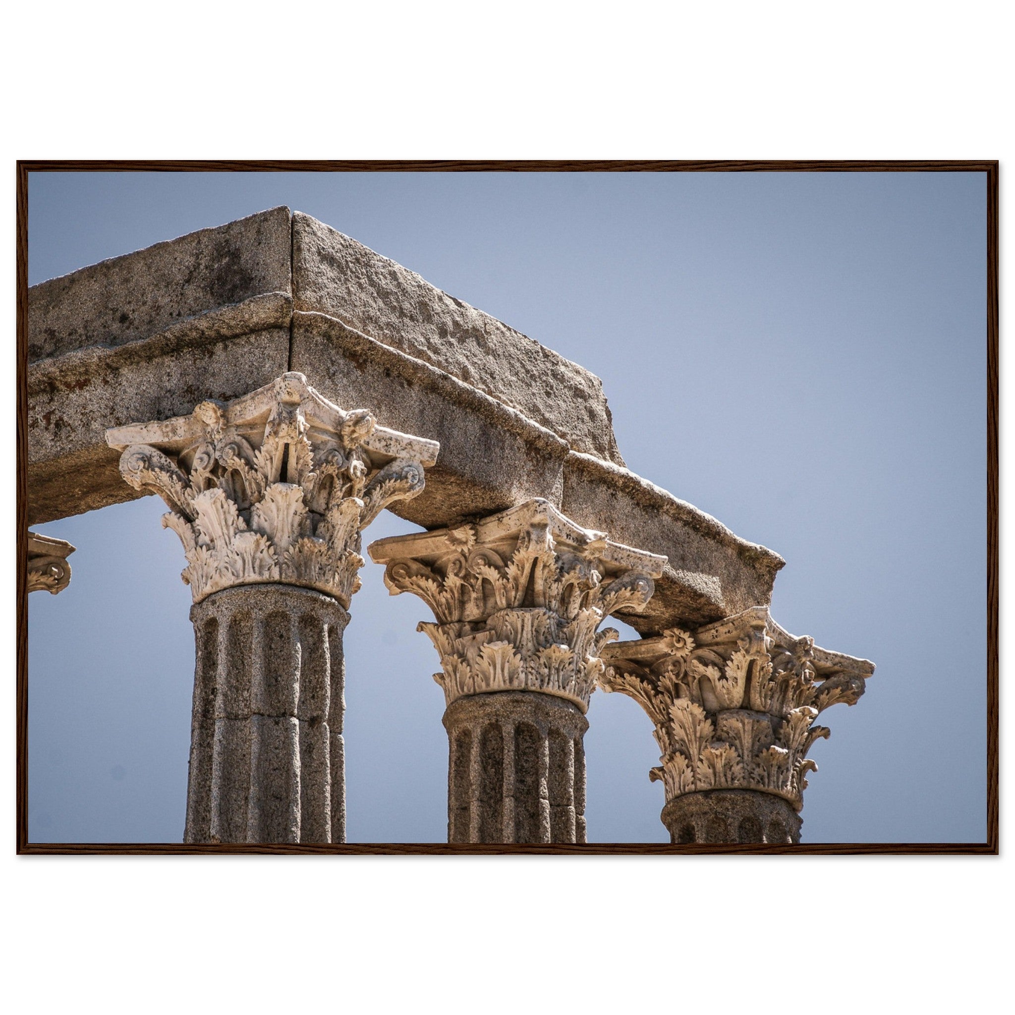 77efd6a1-af42-4fd2-aba7-e278a9338a12