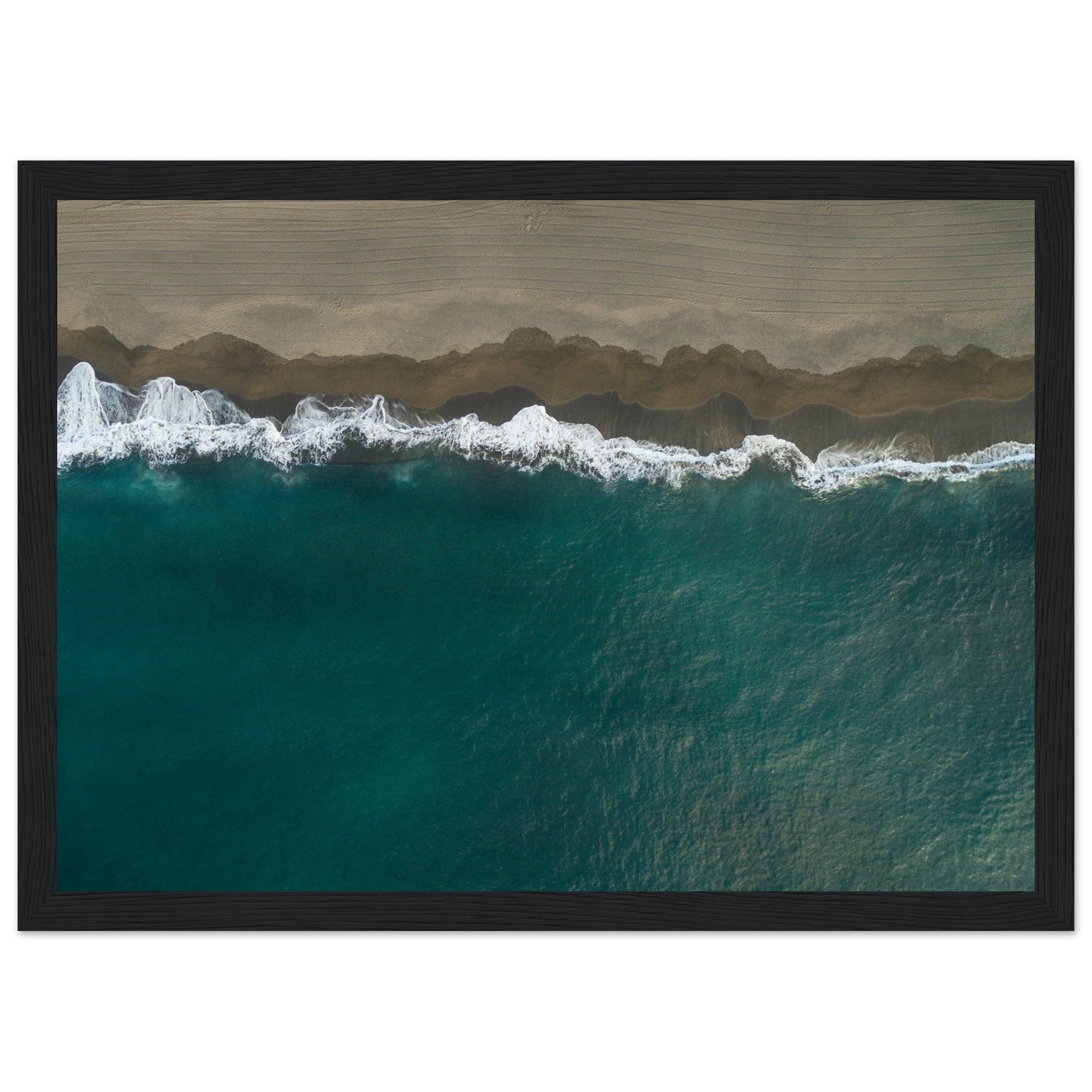 79d6159b-a54b-4557-8275-195071501ca6