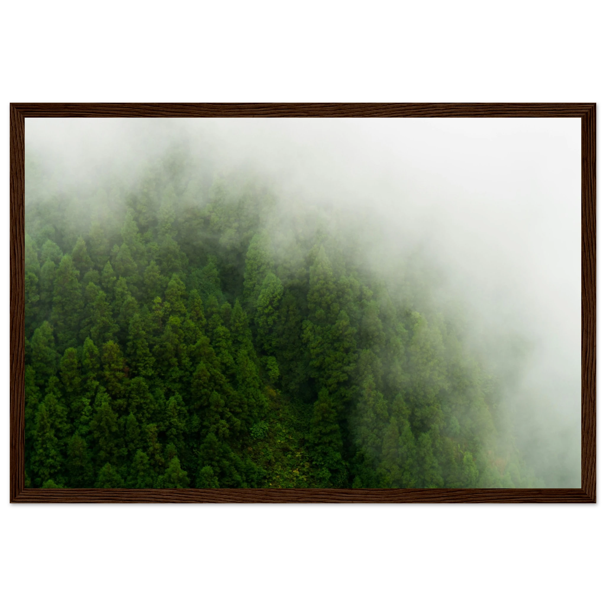 7a91592b-9c7f-4820-9dbe-17275cb1720a