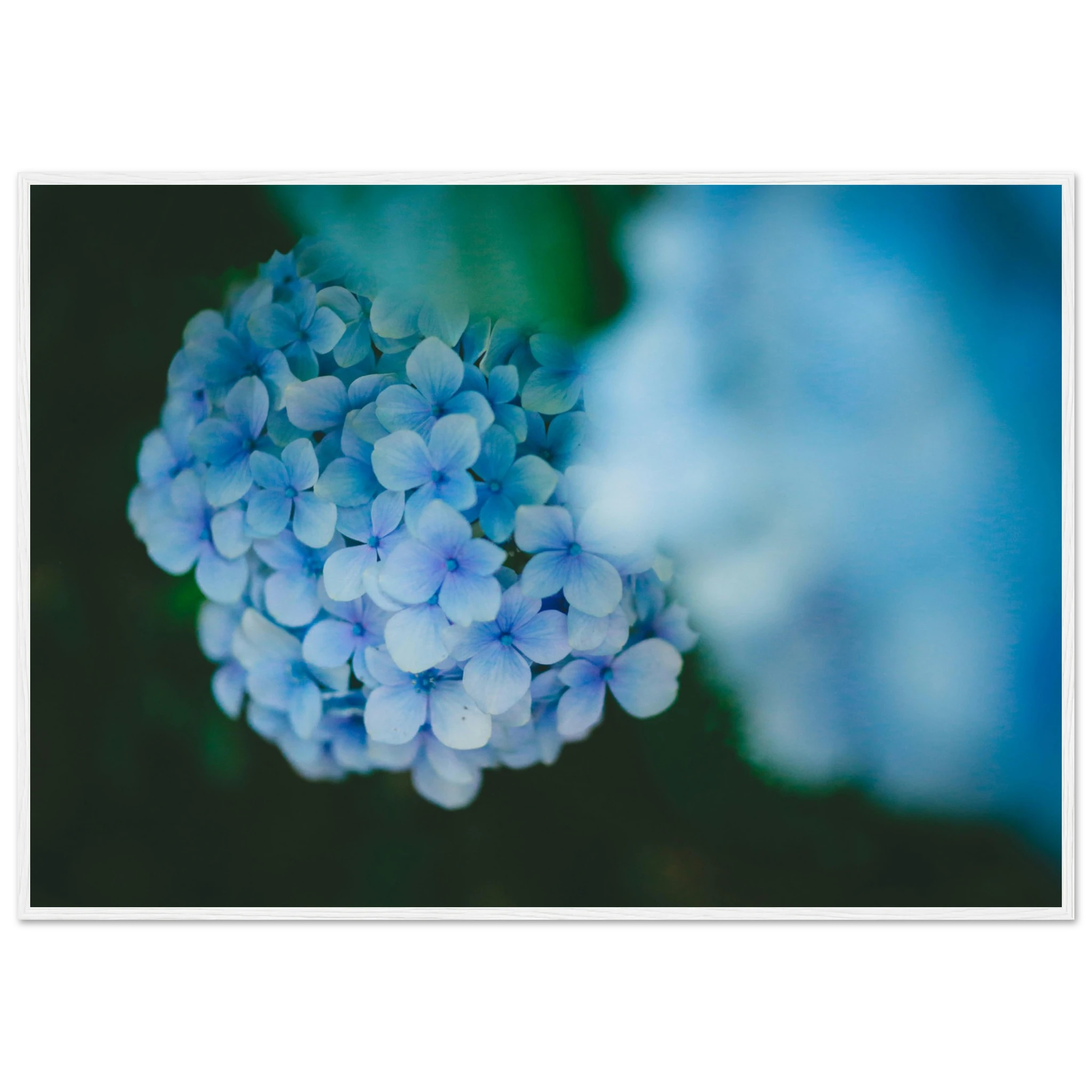 80590cd3-5c27-41ab-b72d-96727a13fffe