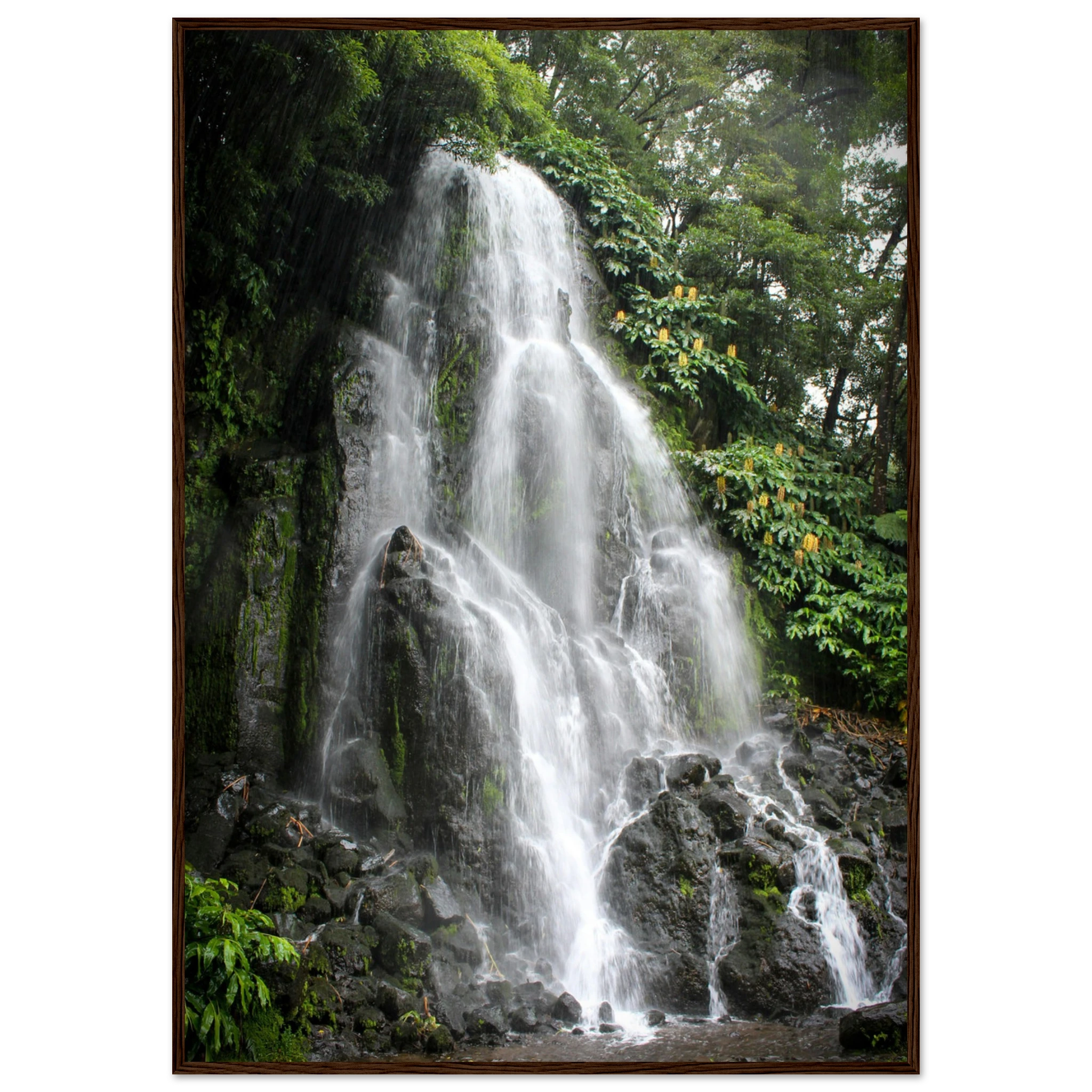 835d9754-f44a-4bd4-b26d-a5d8a2a727d1