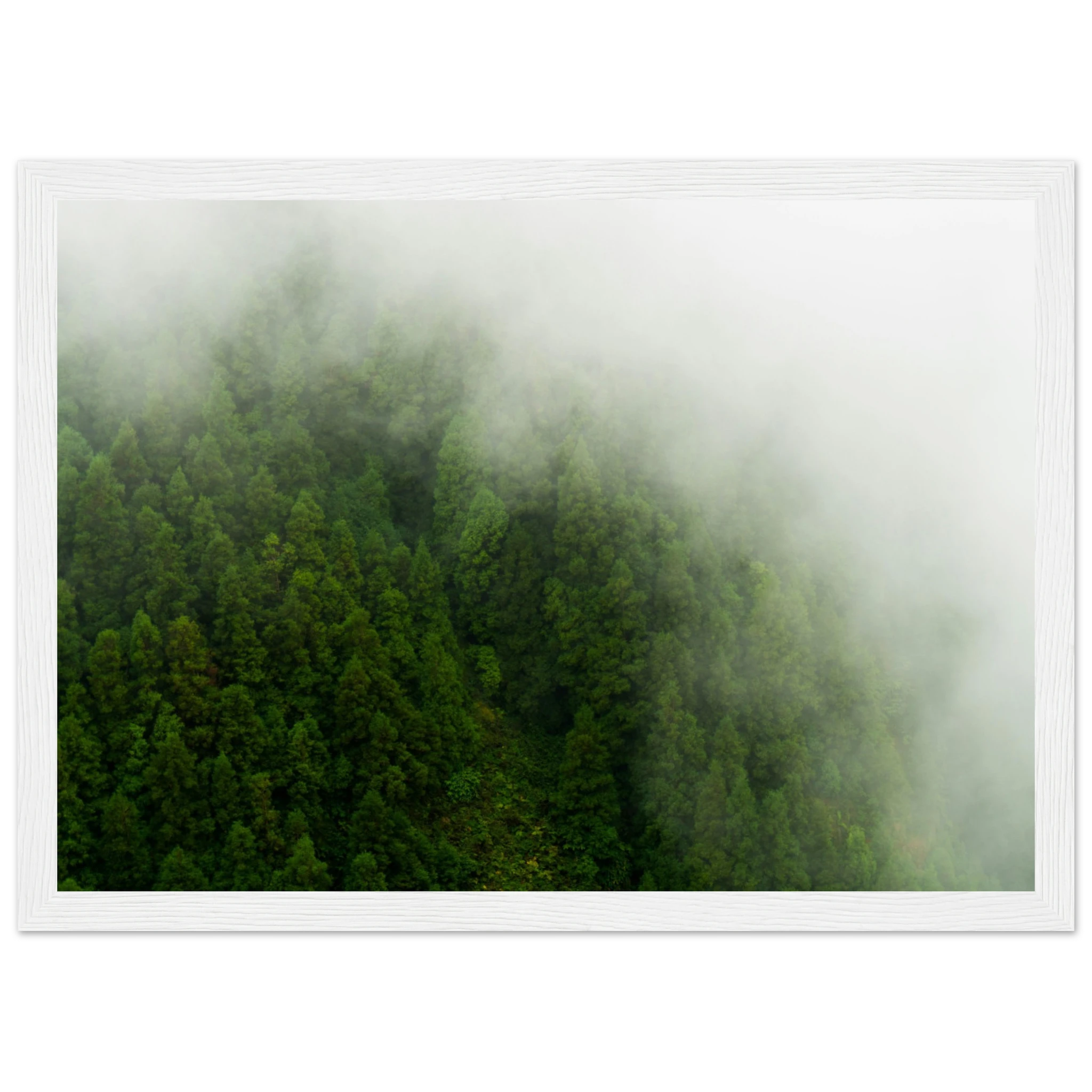 838267ba-1df8-4ce0-a954-88d6bd5da9f8