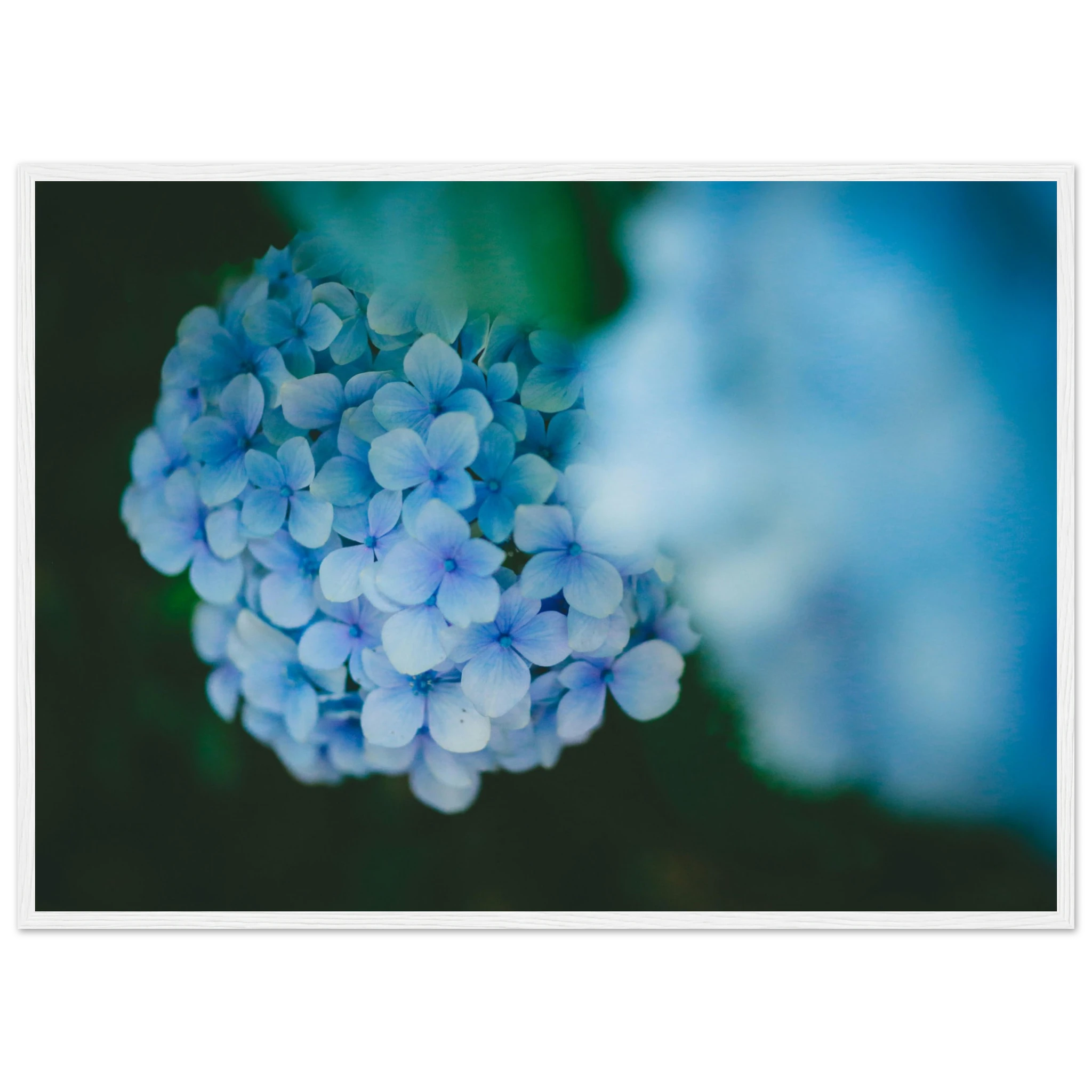 91c33b43-9e90-4fd8-98ab-e62b2fdc3ece