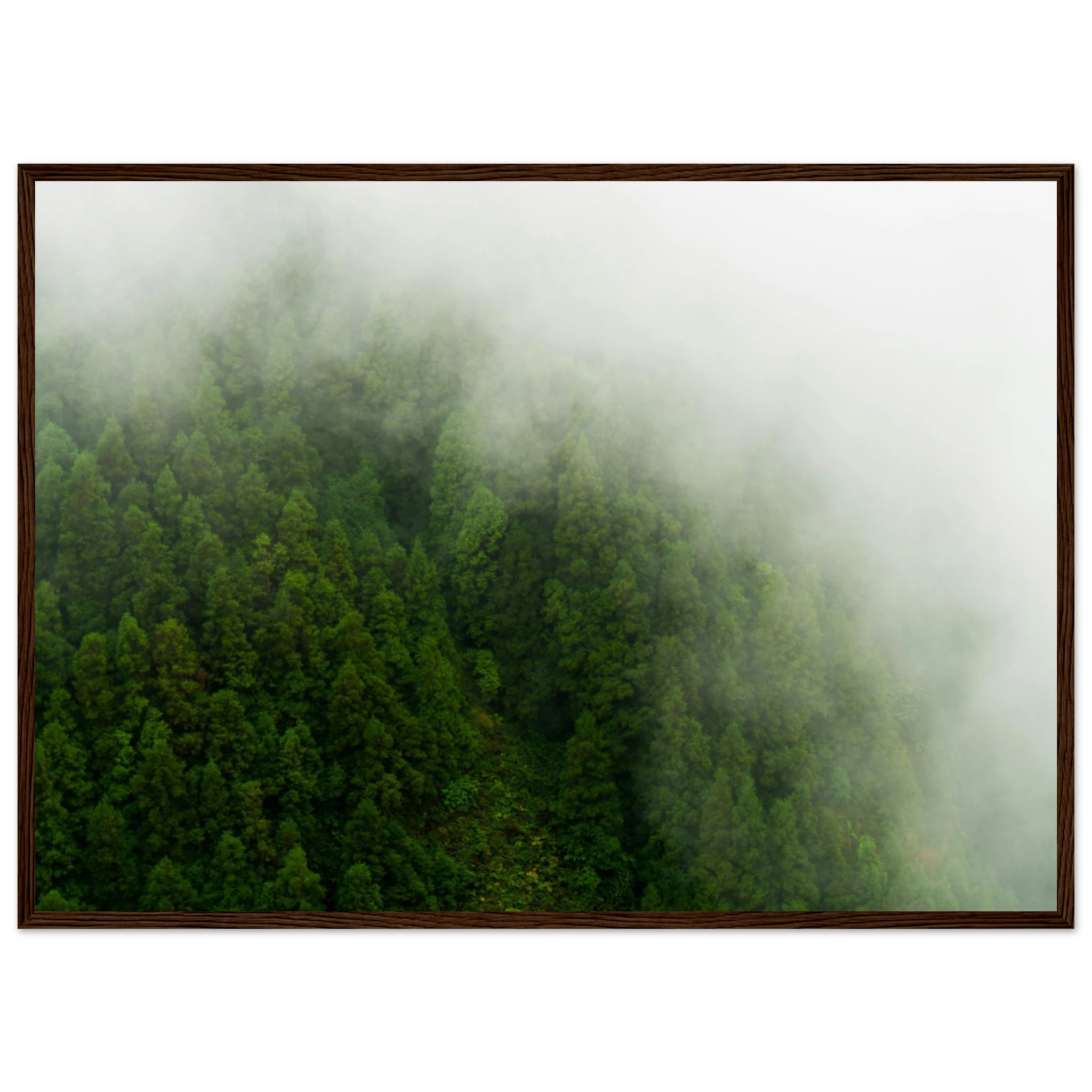 97081a5f-b74e-41be-8f0d-03d60176e3ec