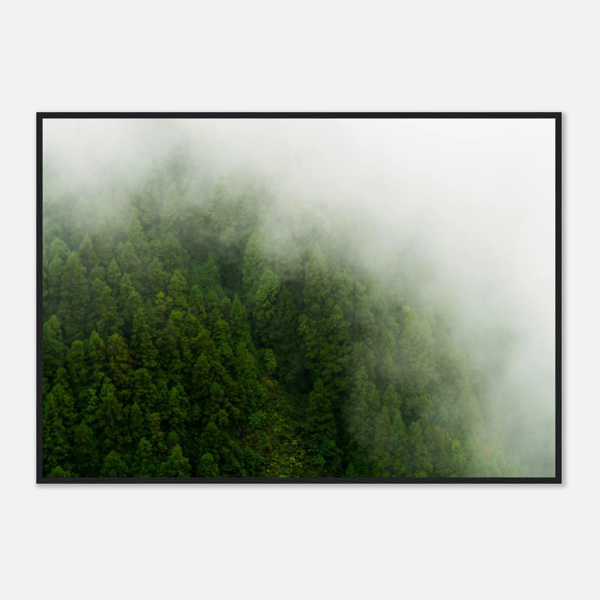 982b52d3-ff7e-4f07-890c-796327c527cf