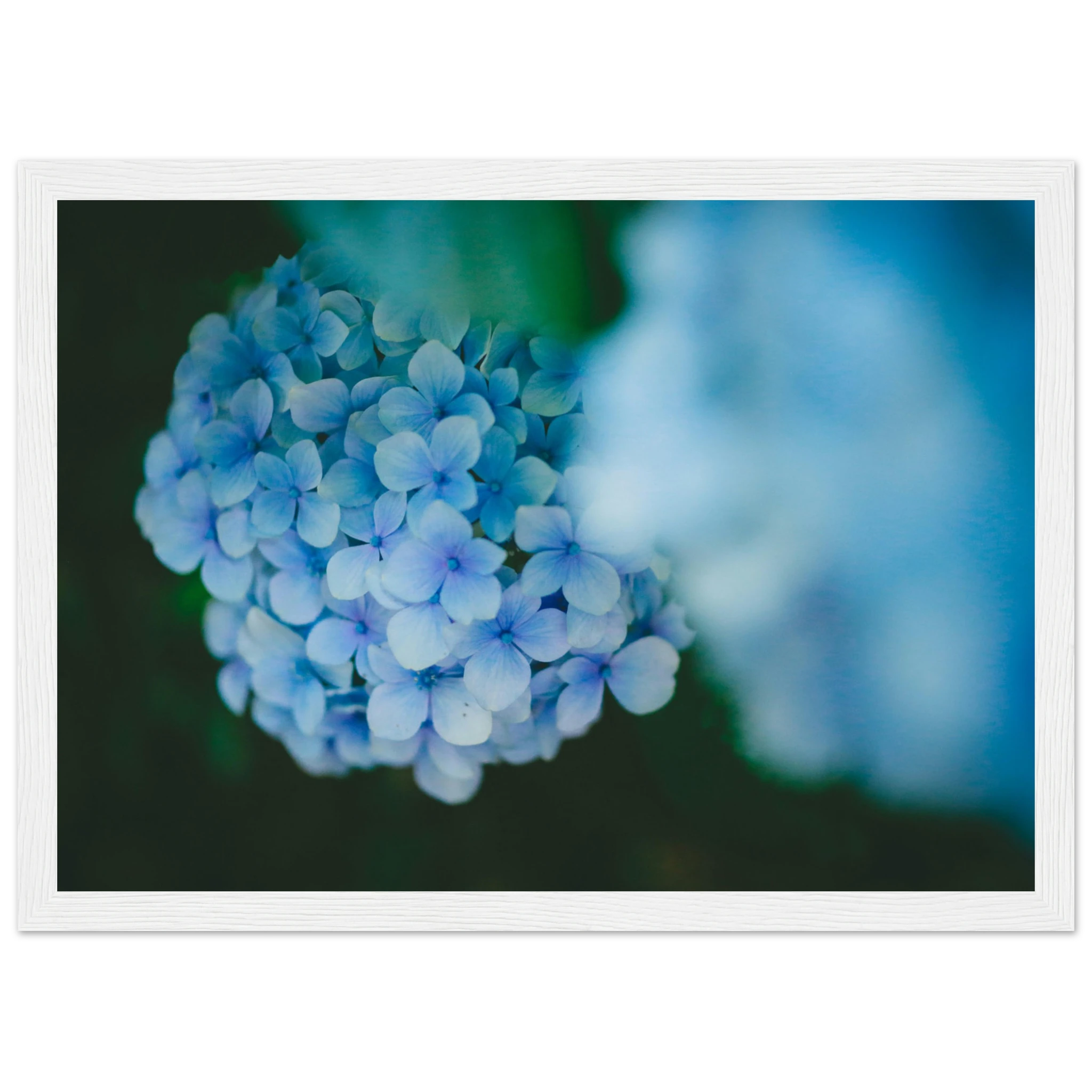 9a26552f-4b31-4476-acb6-2dd13b589397