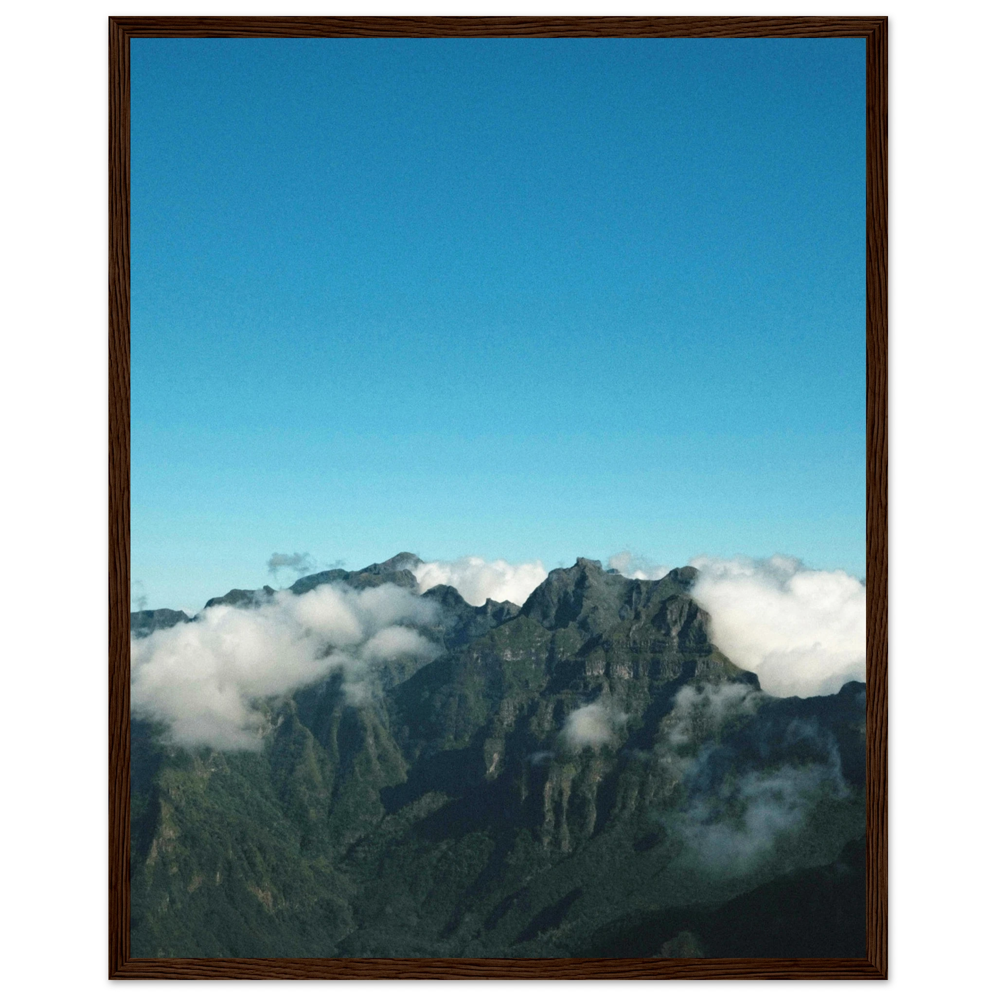 9c6f7d15-d8bc-43a1-8ae1-f6707bdf676c