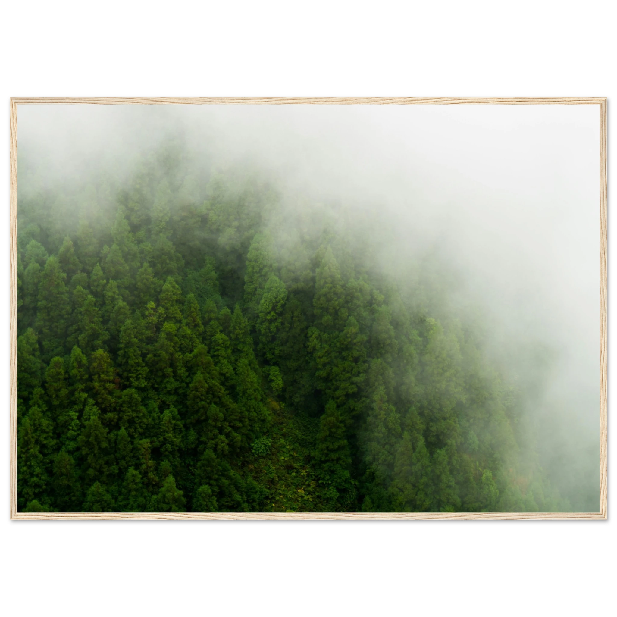 9da32bfc-f0b9-4d58-9ef6-8211bf032c6c