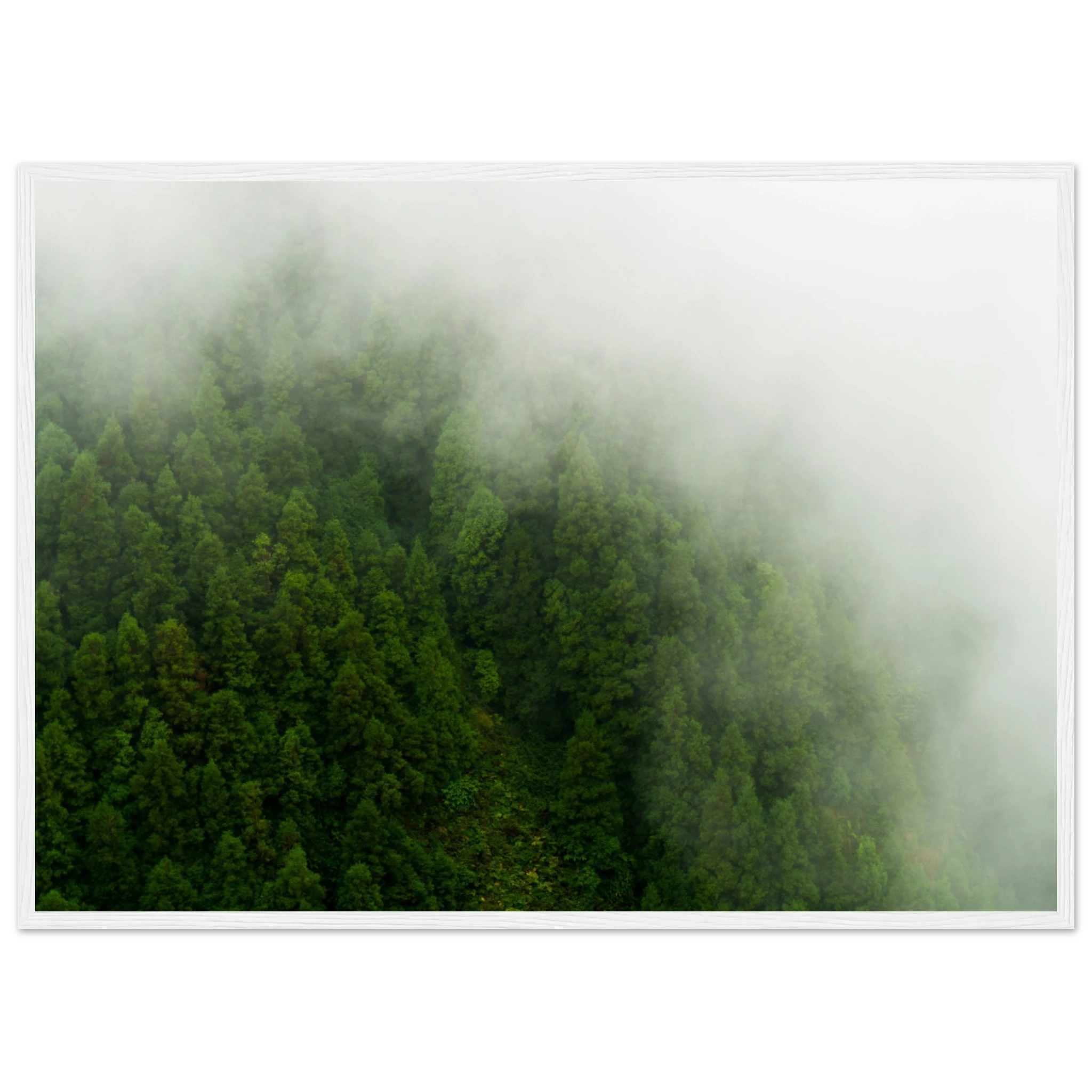 a2269e9a-02da-4868-9ce3-e39b44f7071e