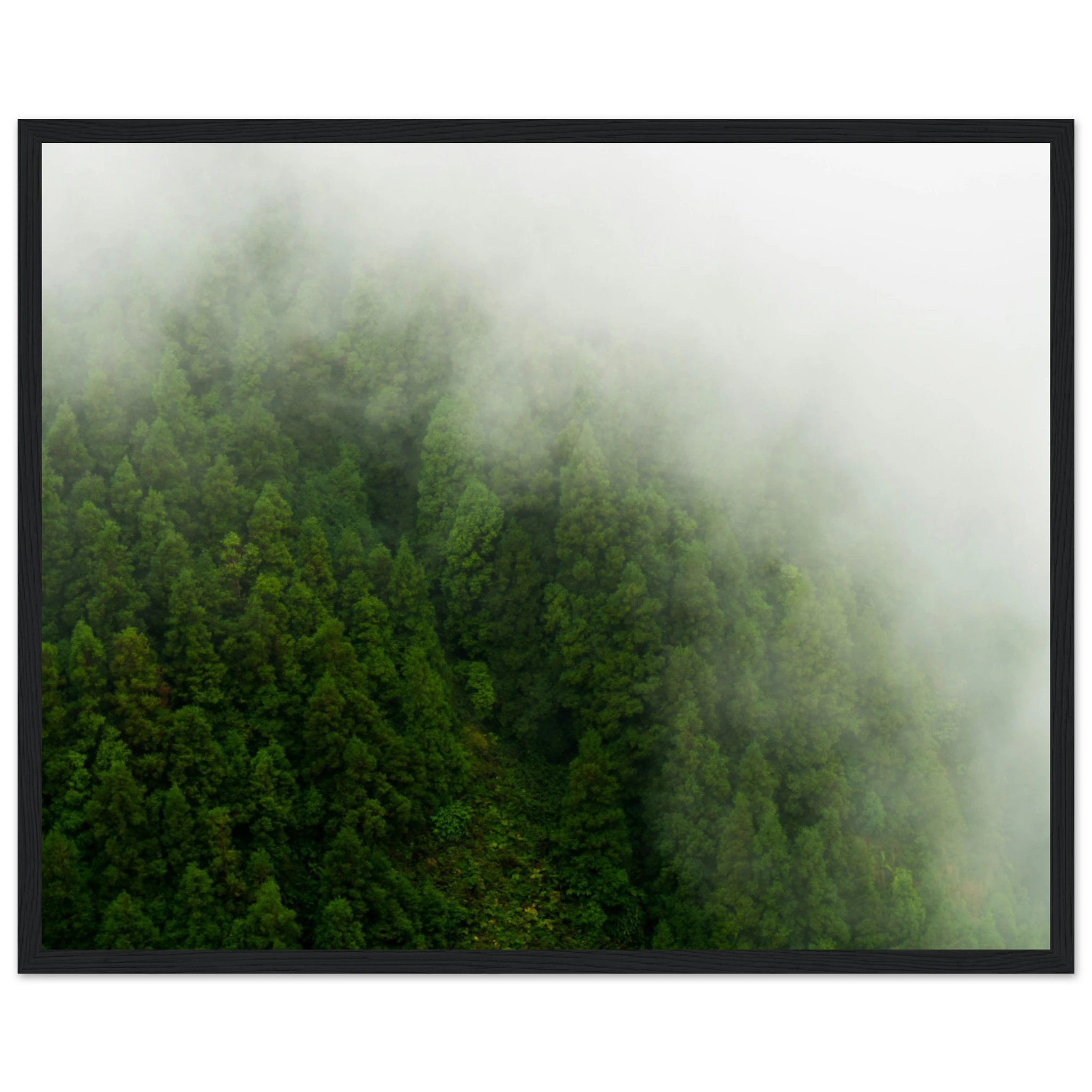 a43c68c6-34e6-421d-a170-eedc9b612136