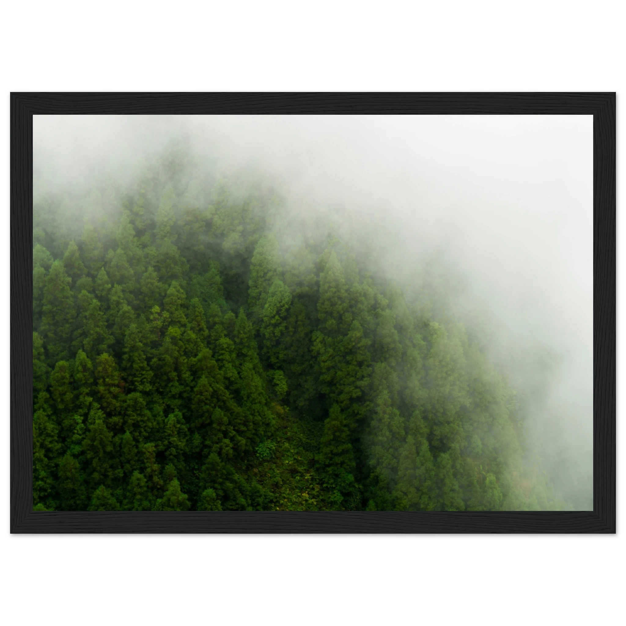 a50e8010-f588-4ded-997a-abe3d66aa934