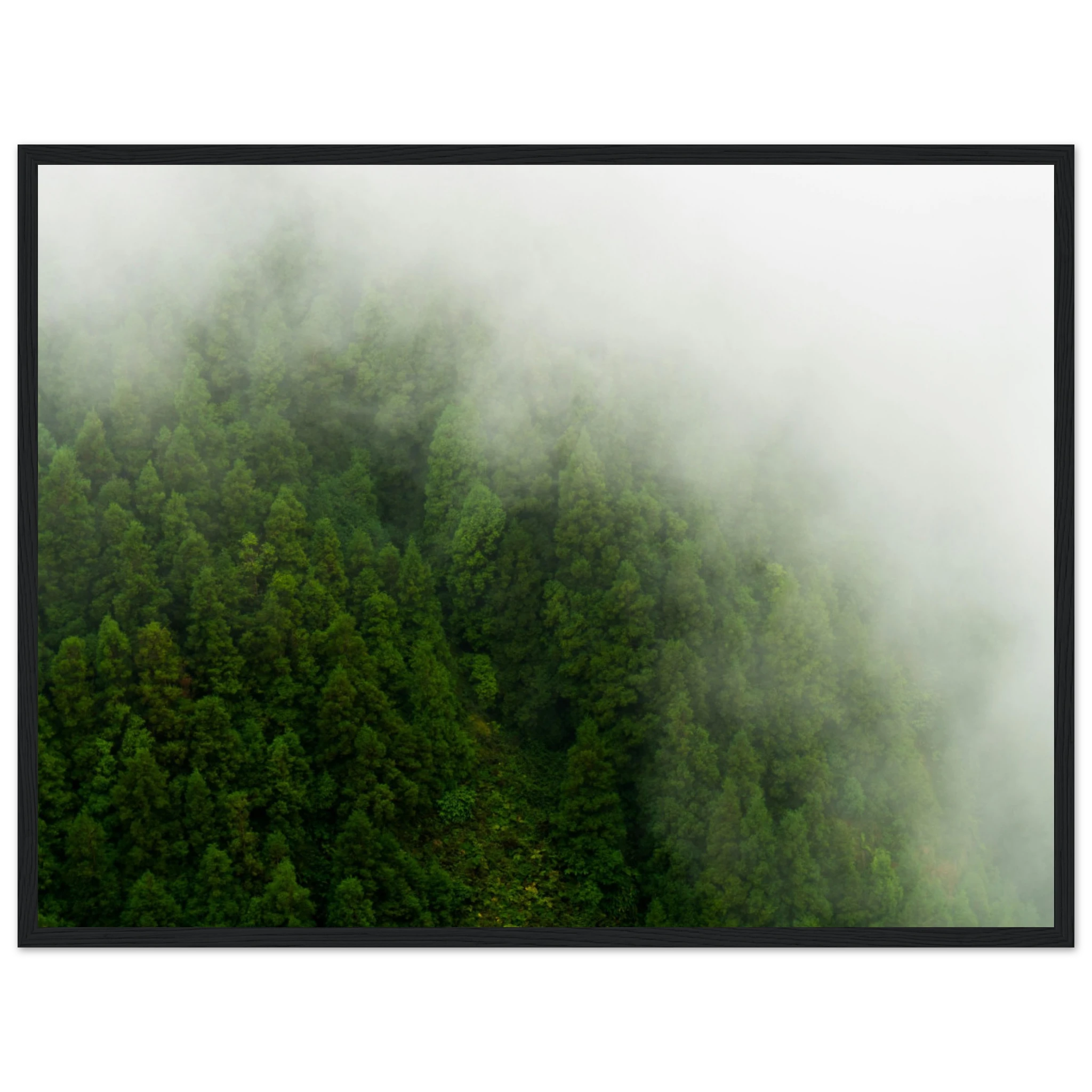 a5ccb7b6-4d24-4ded-bb8f-cc6619ce29b0