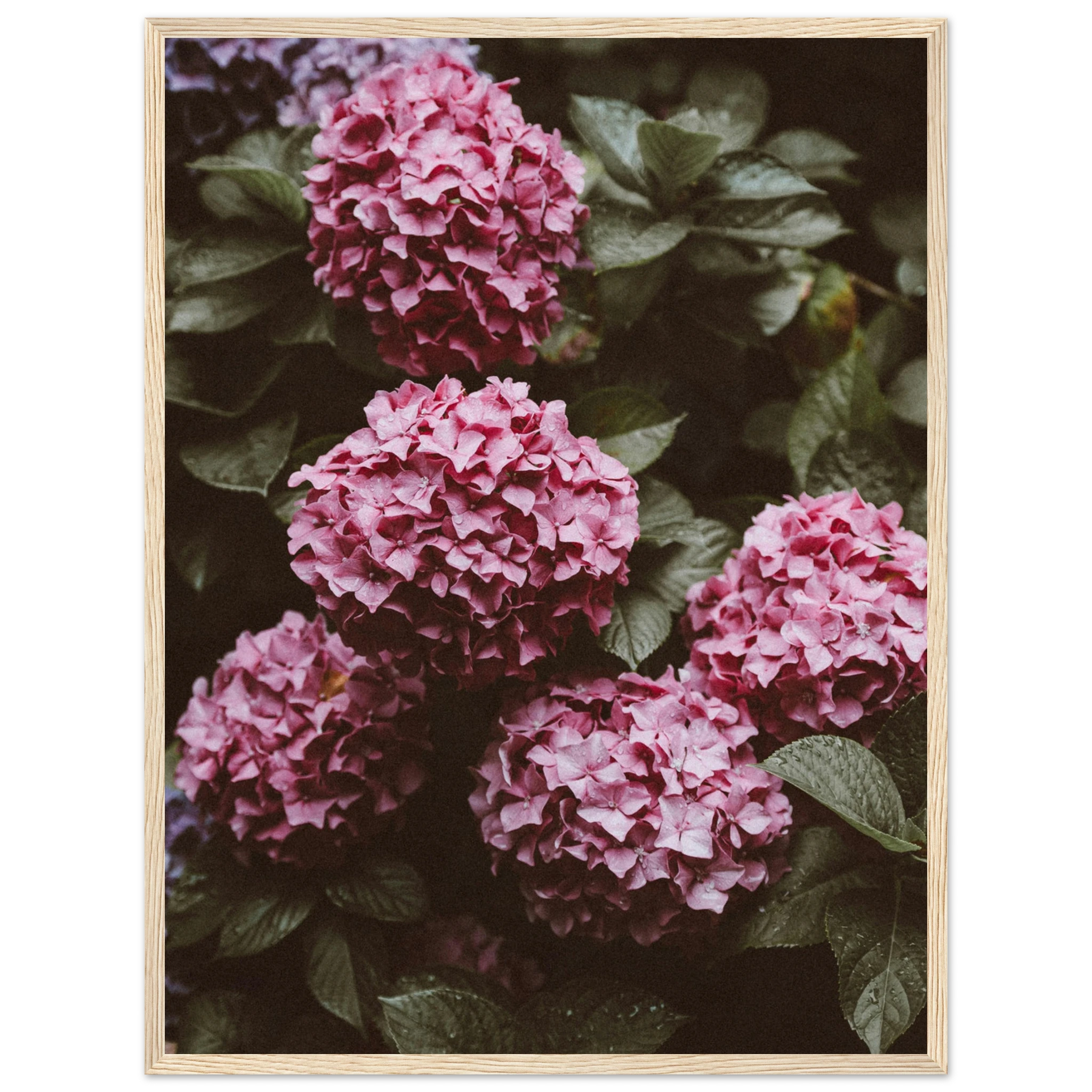 aa3d49e0-05d7-4d99-bfc3-61ccd0ecb64f