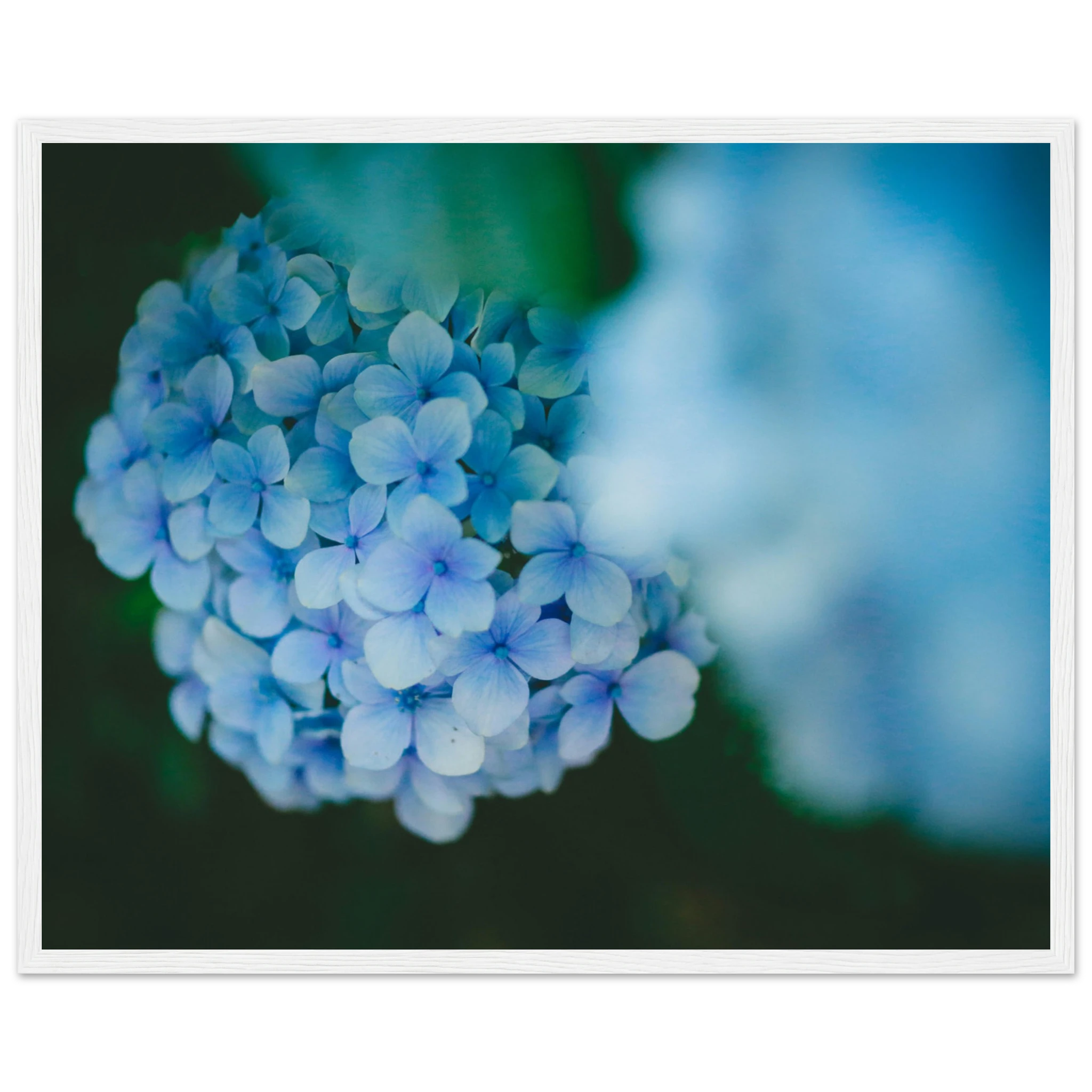 aa60f0d2-5c24-4fa1-a48f-ce6fbf278c8d