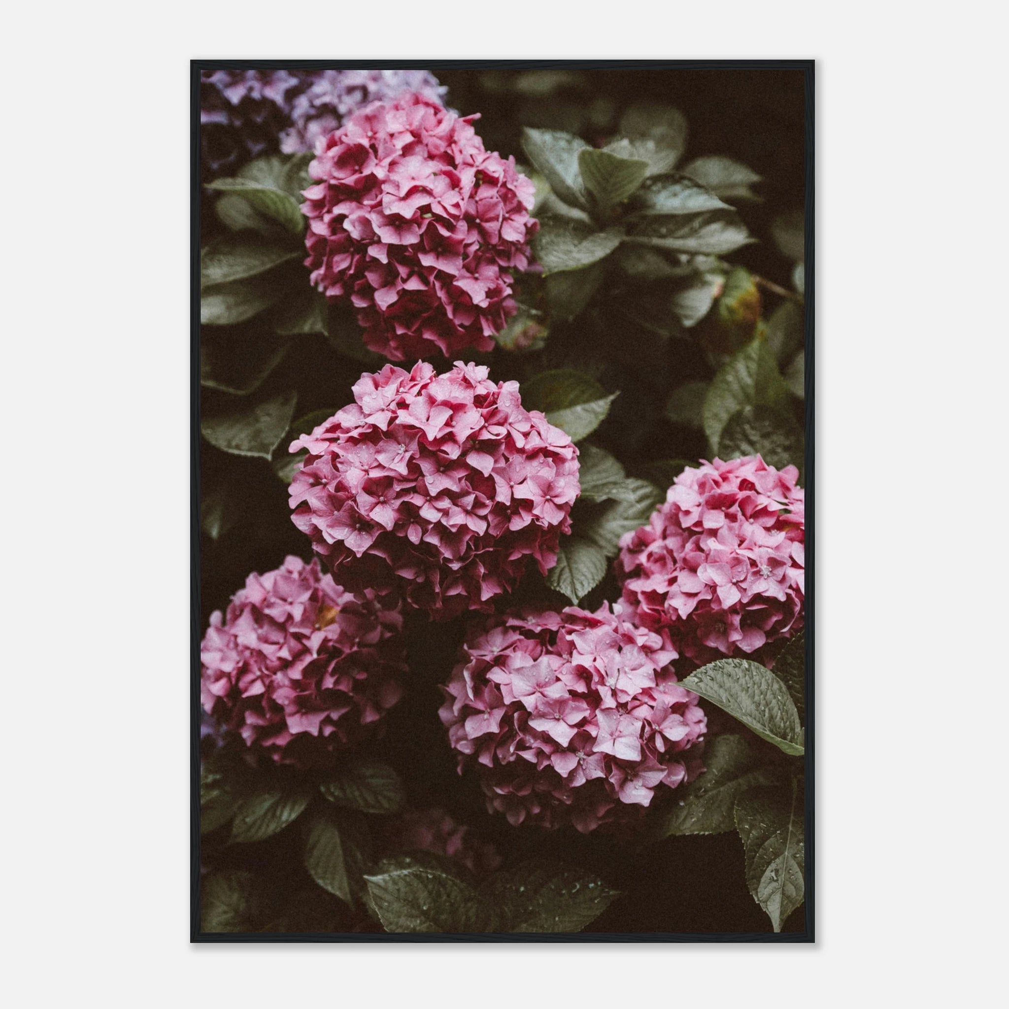 ac8b0d92-4b8d-4198-bb4a-35b7b37f00f4